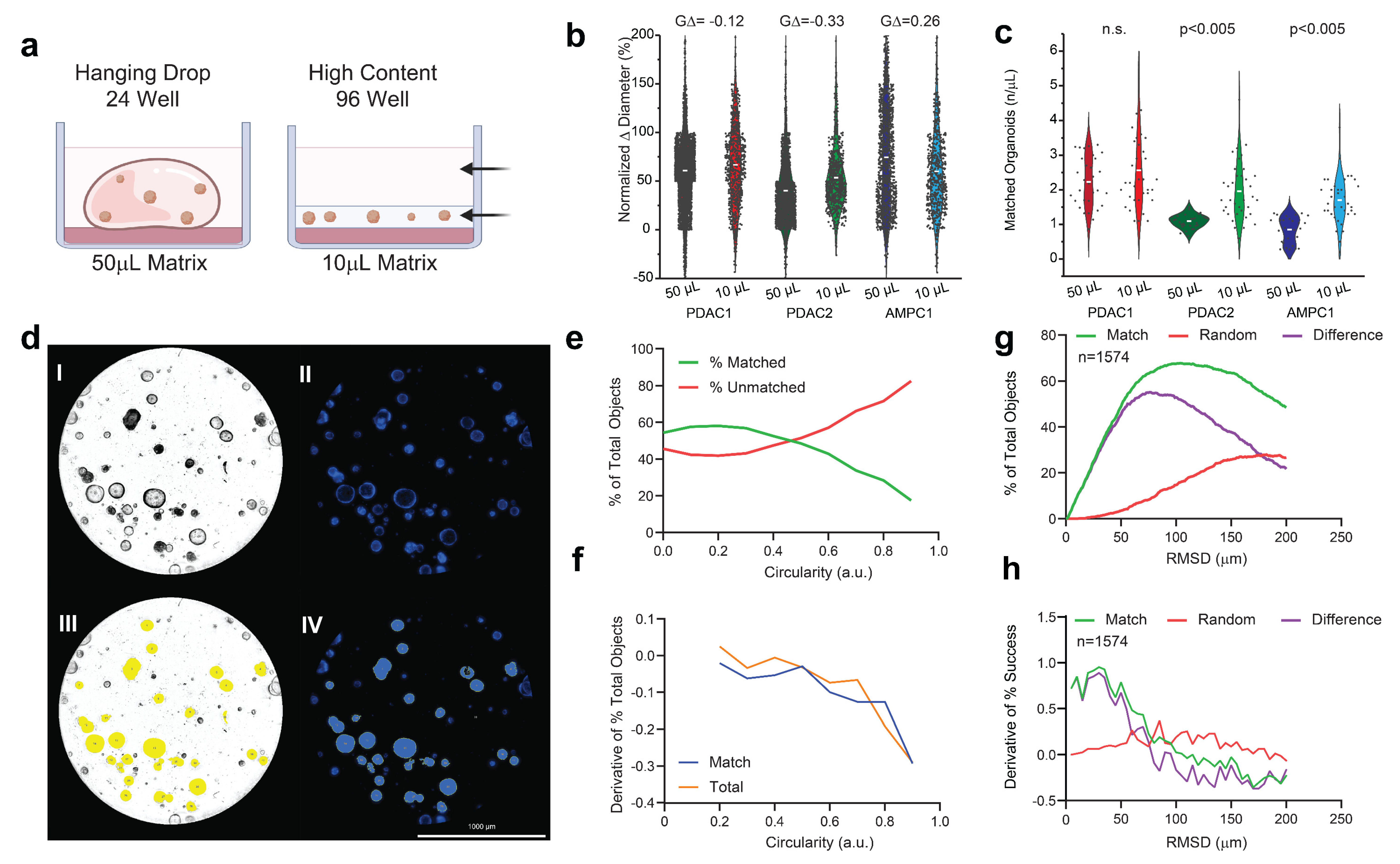 Bioengineering 10 00091 g001 Bioengineering 10 00091 g001