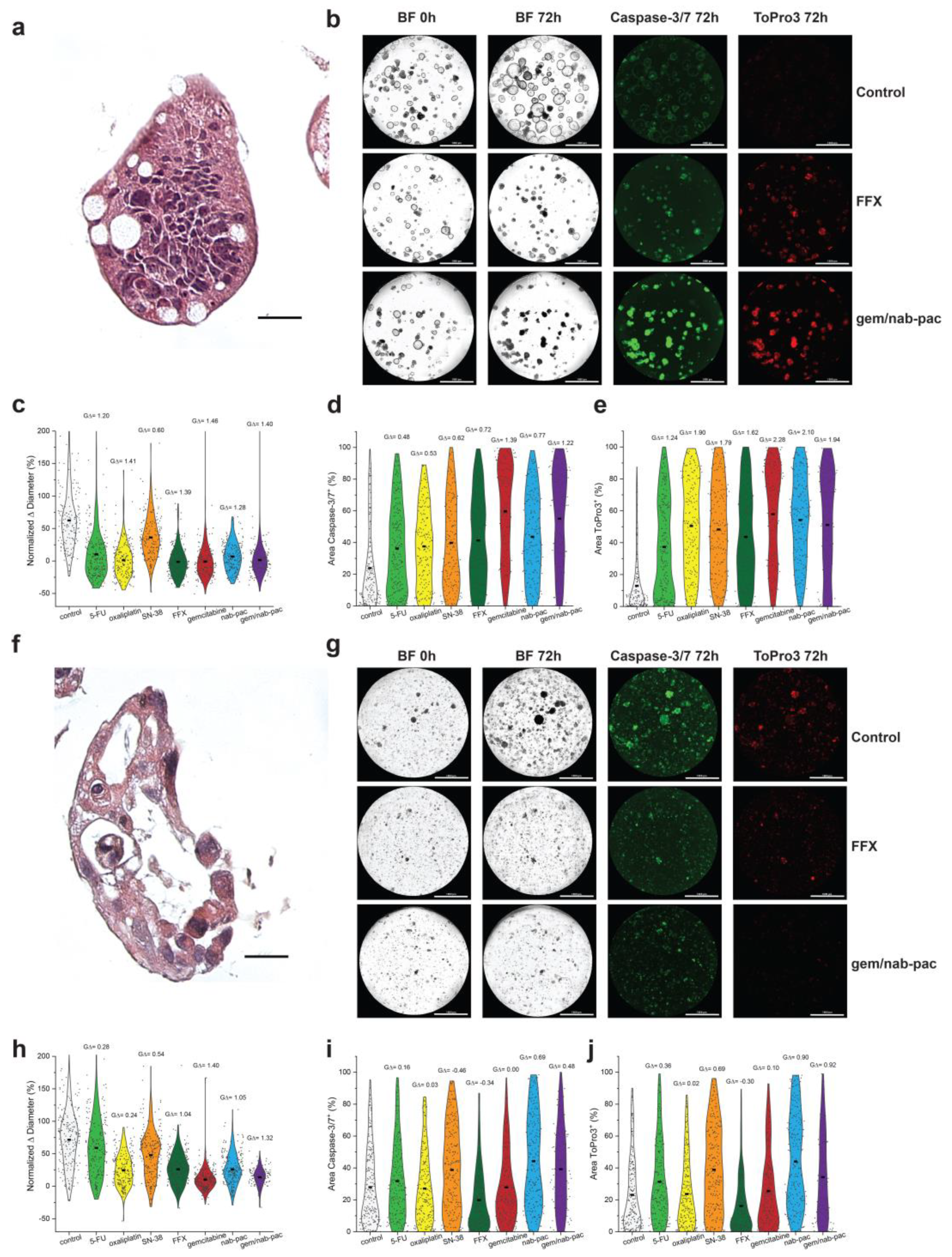 Bioengineering 10 00091 g003 Bioengineering 10 00091 g003