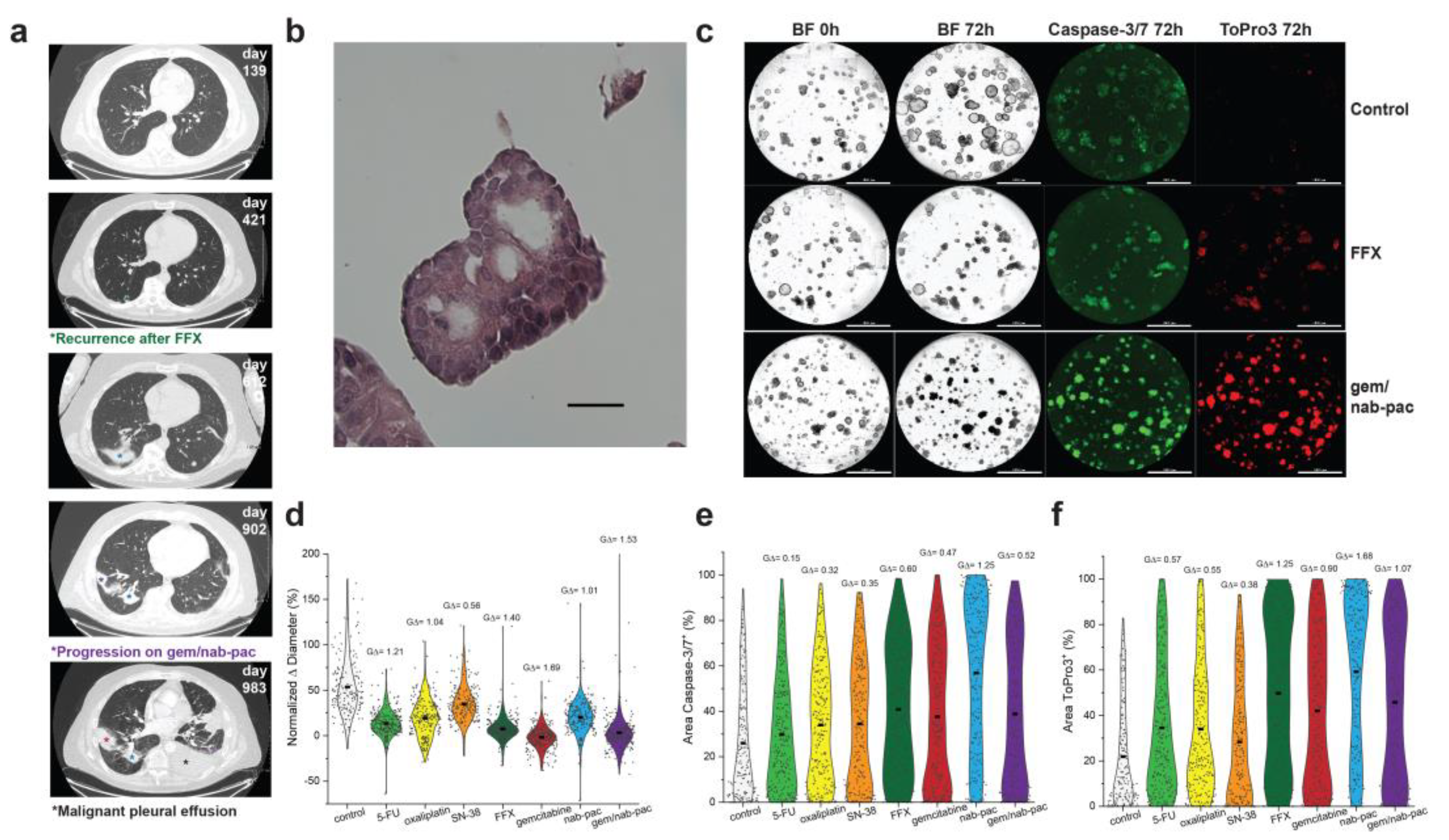 Bioengineering 10 00091 g004 Bioengineering 10 00091 g004