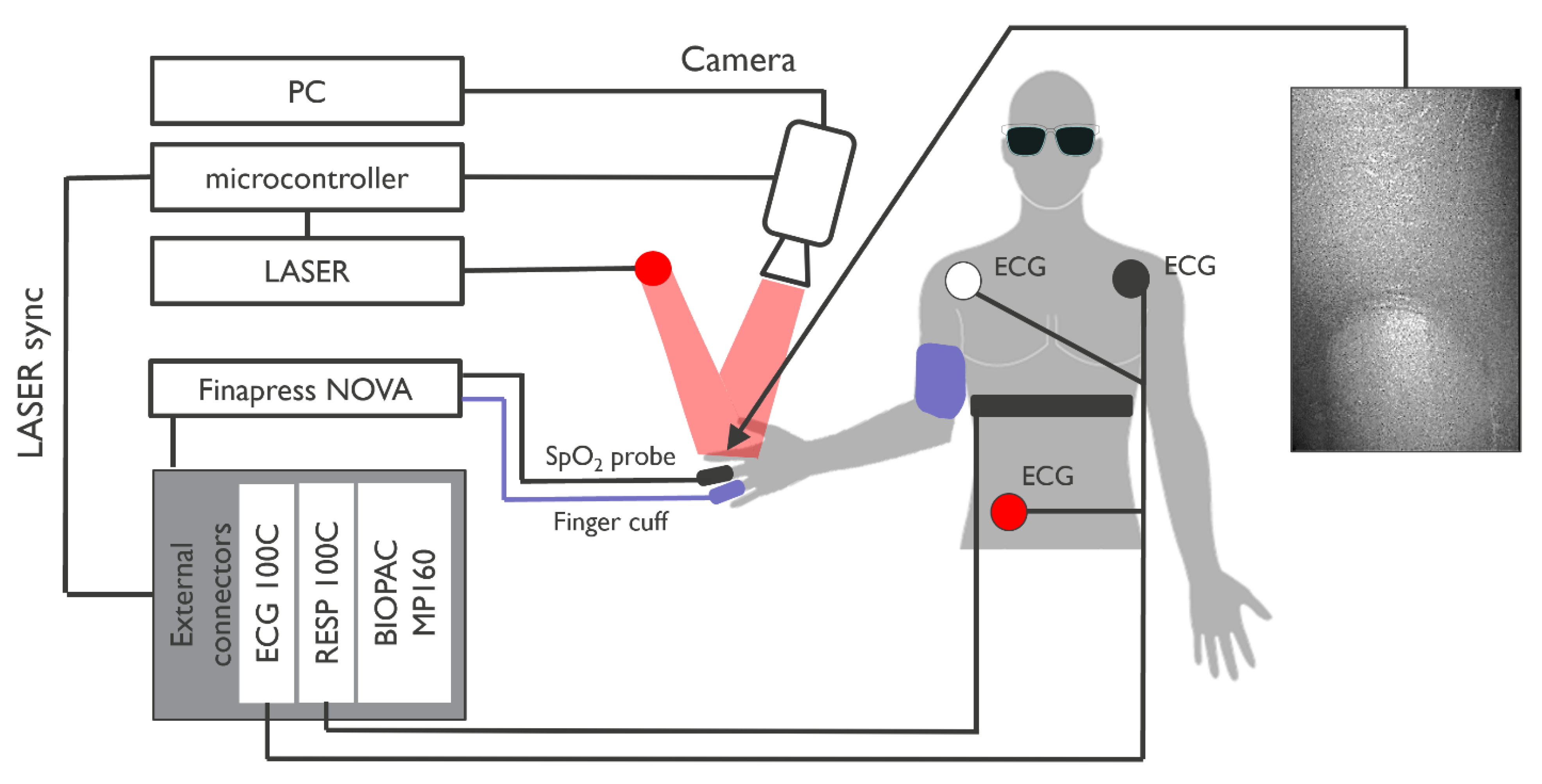 Bioengineering 10 00101 g001