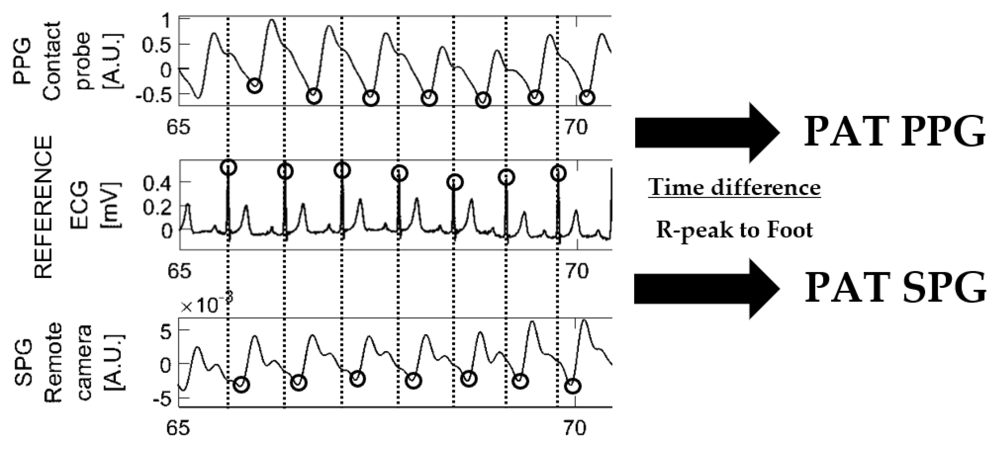Bioengineering 10 00101 g003