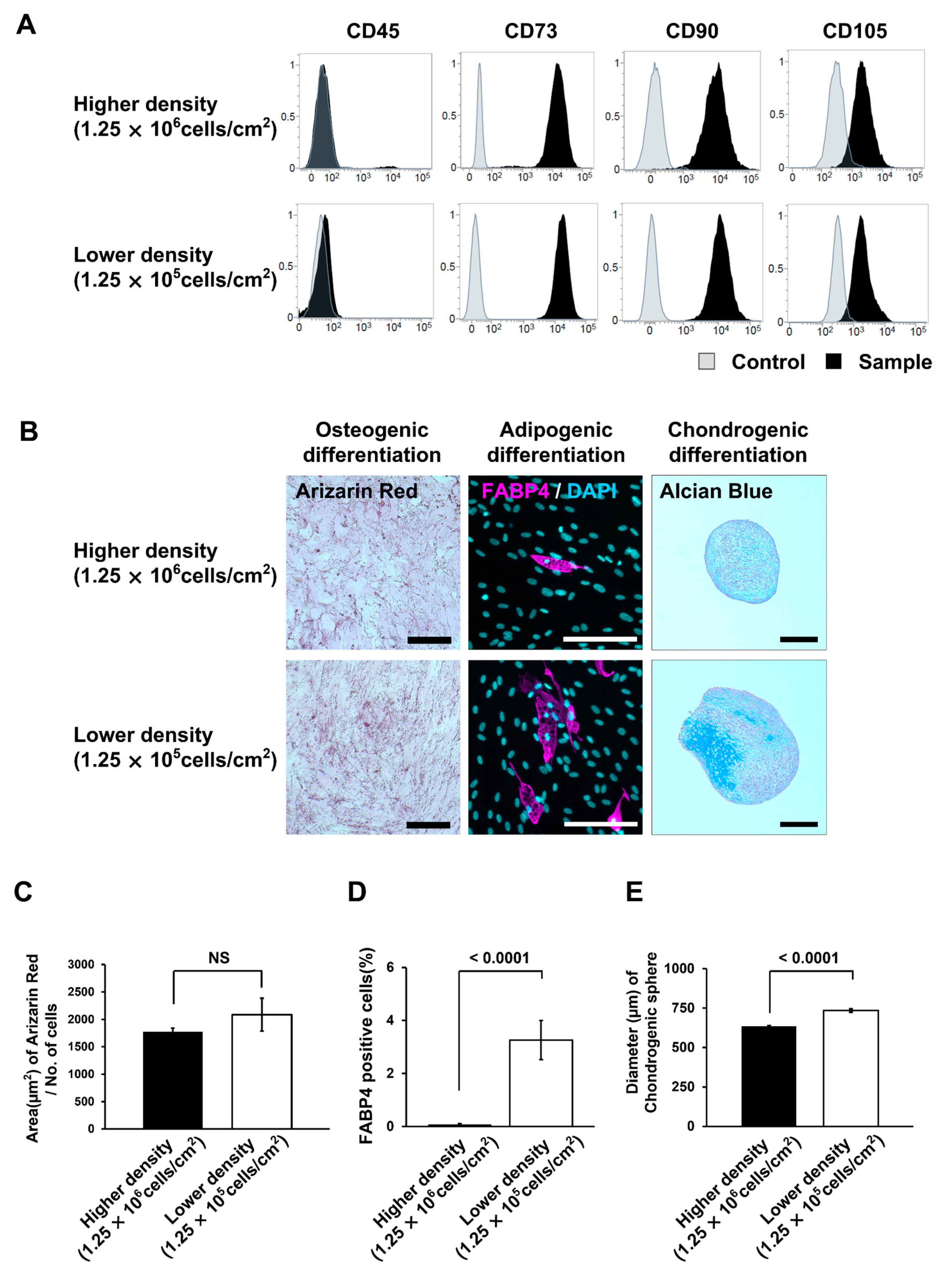 Bioengineering 10 00102 g006