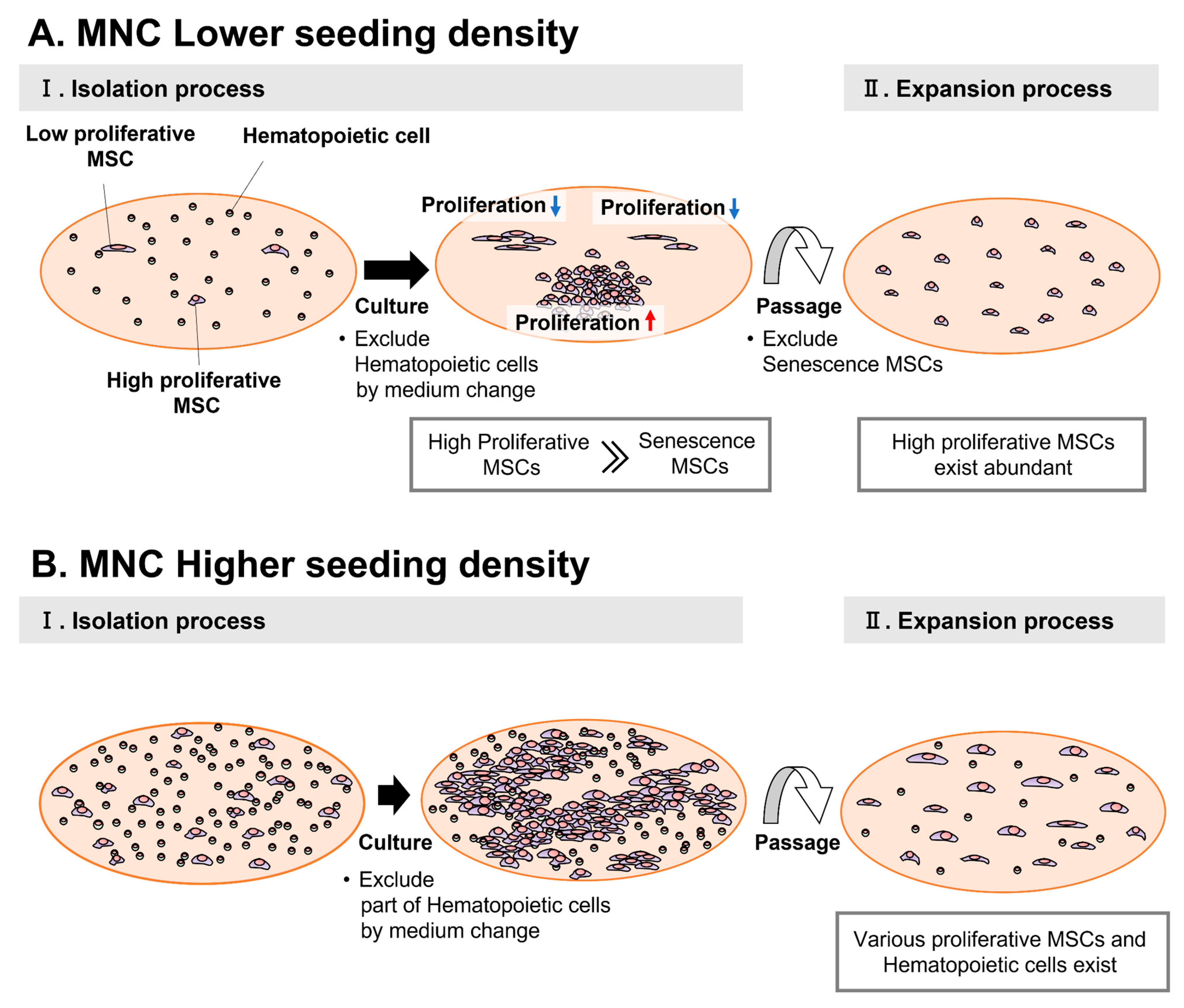 Bioengineering 10 00102 g007