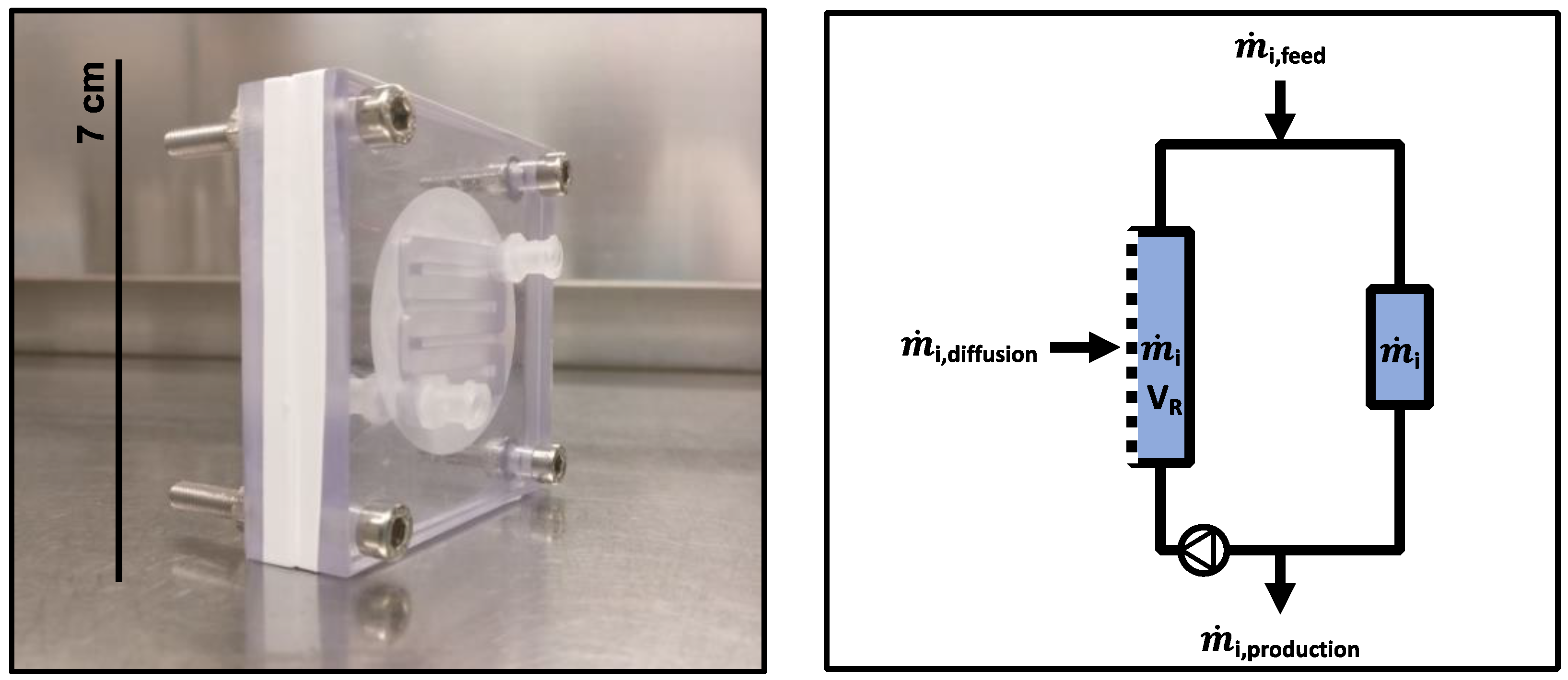 Bioengineering 10 00103 g001