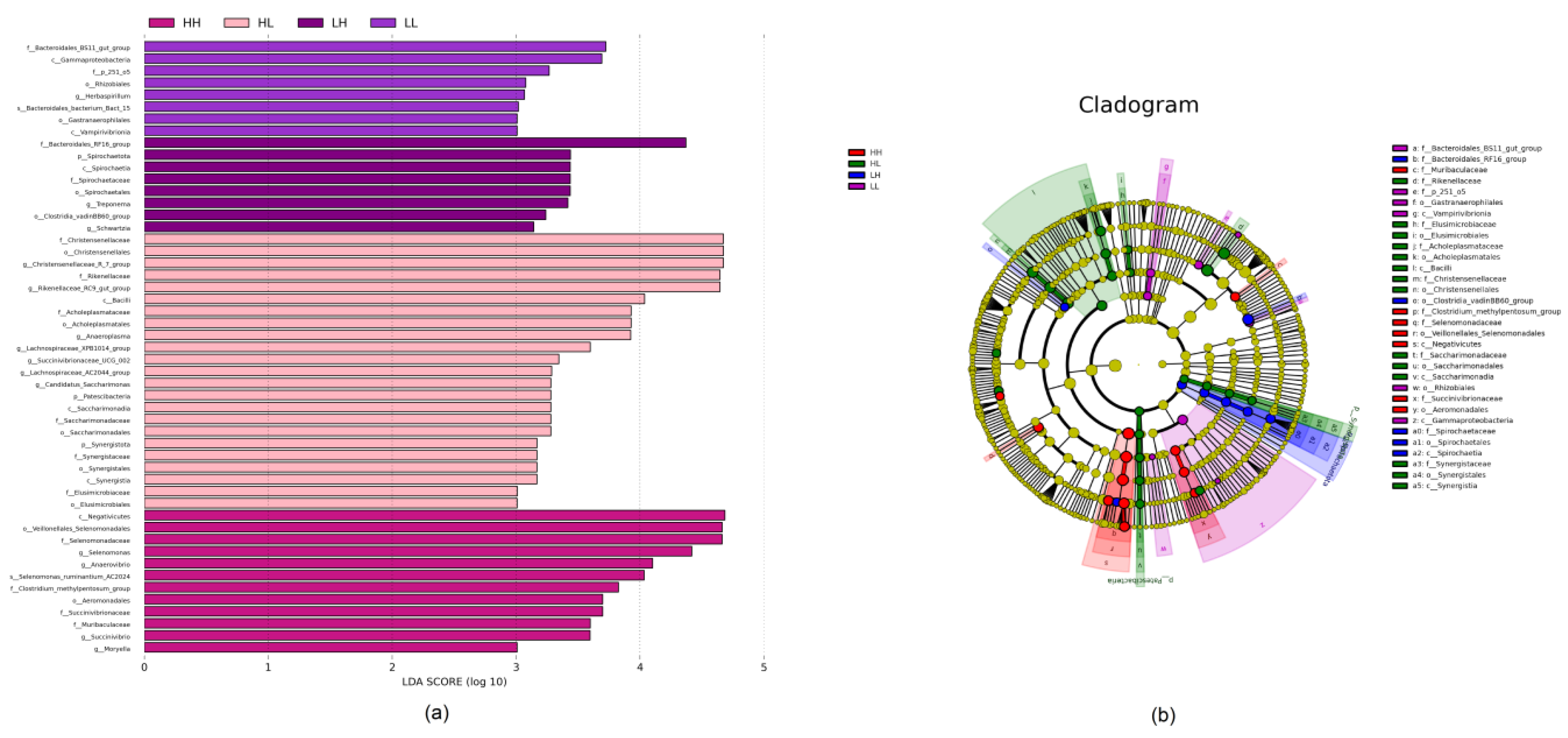 Bioengineering 10 00107 g003 Bioengineering 10 00107 g003