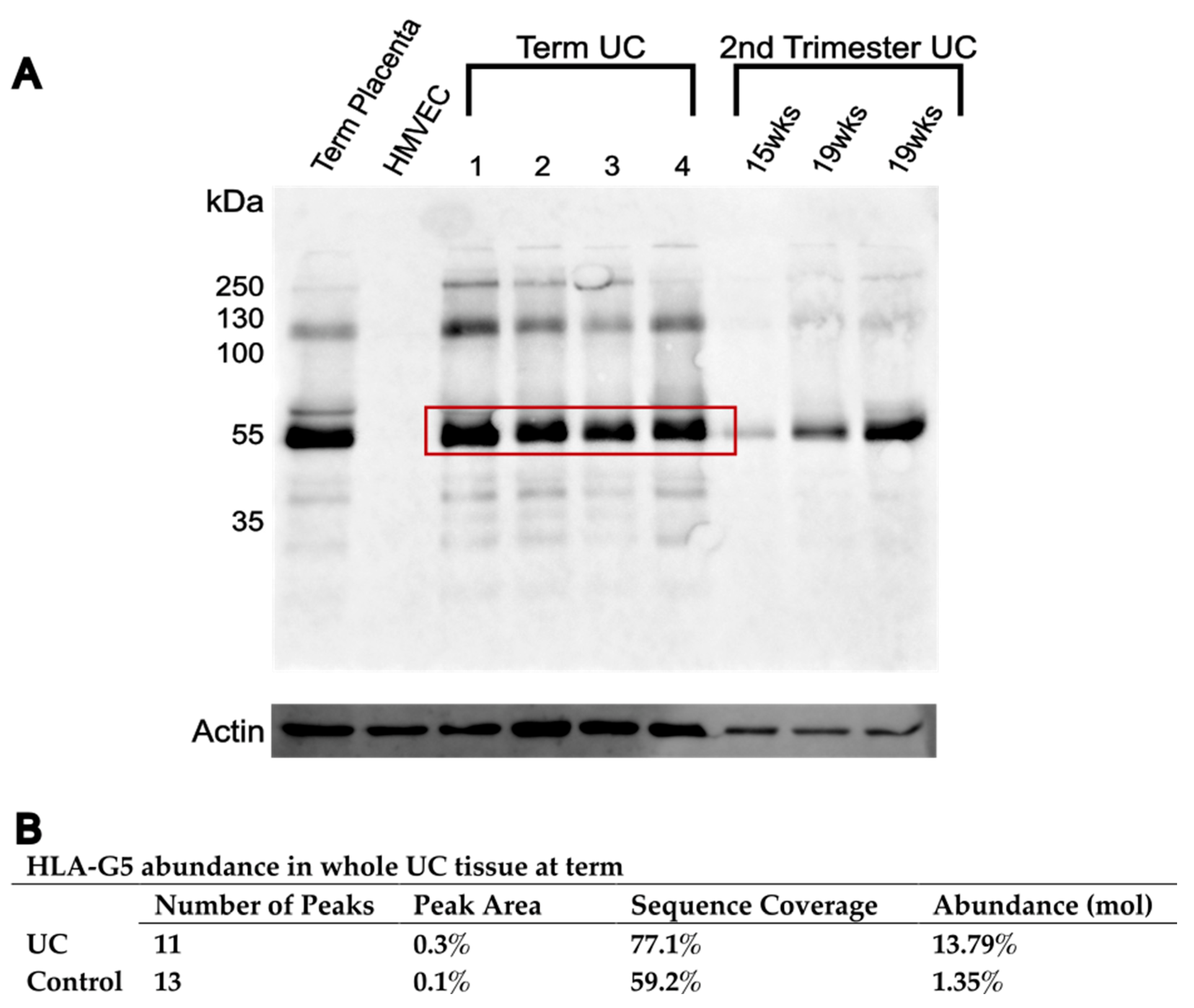 Bioengineering 10 00110 g007 Bioengineering 10 00110 g007