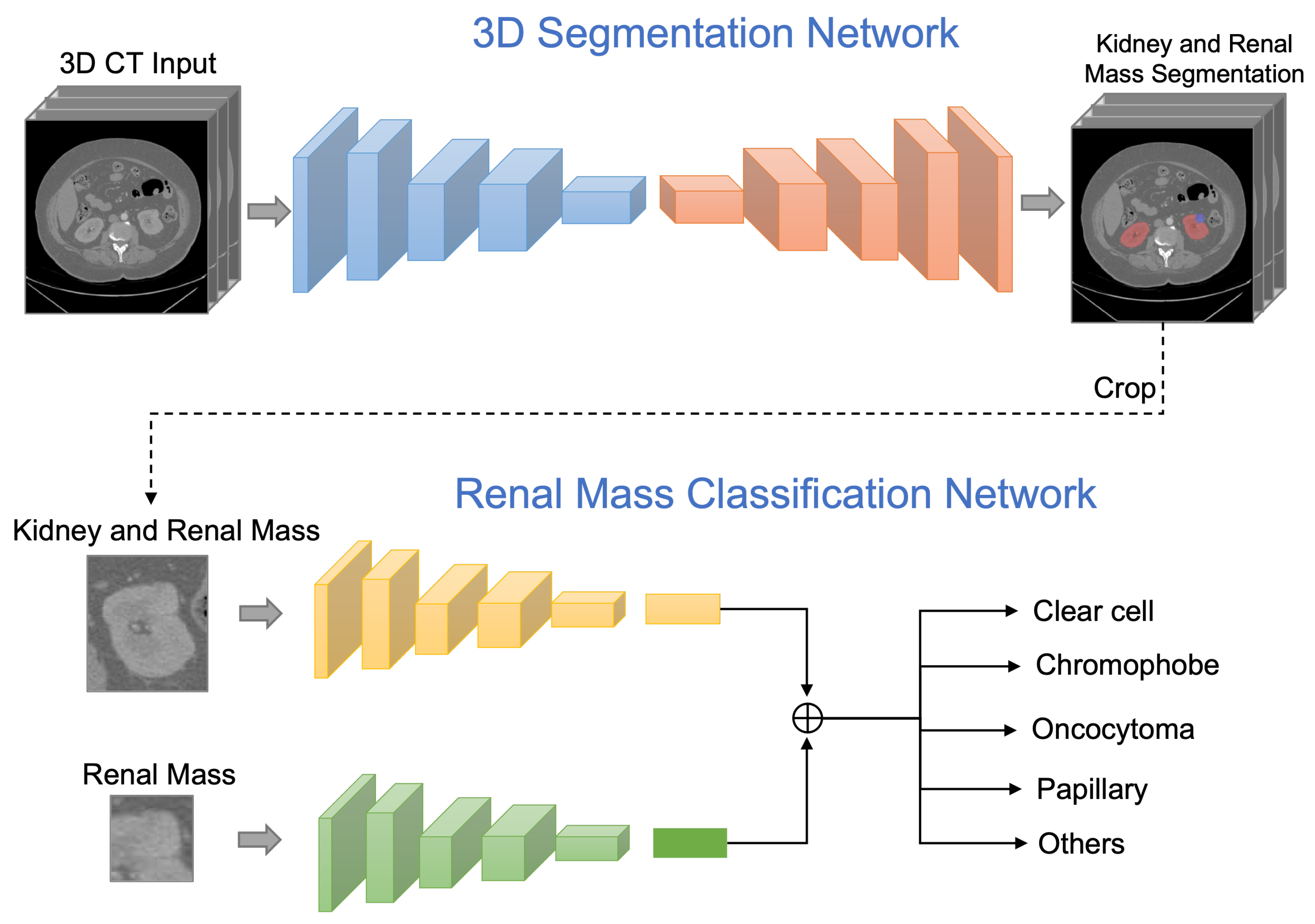 Bioengineering 10 00116 g001