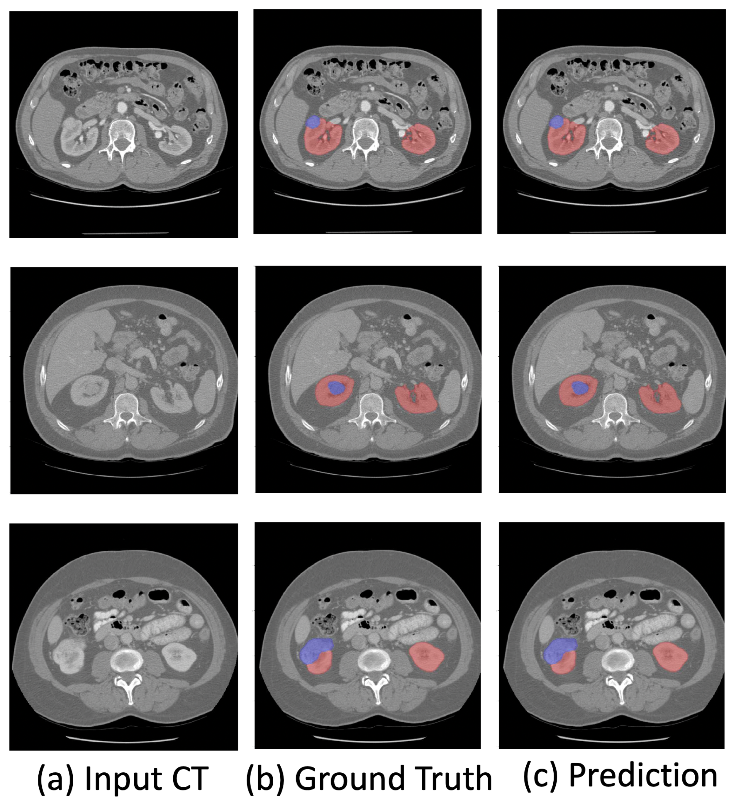 Bioengineering 10 00116 g002