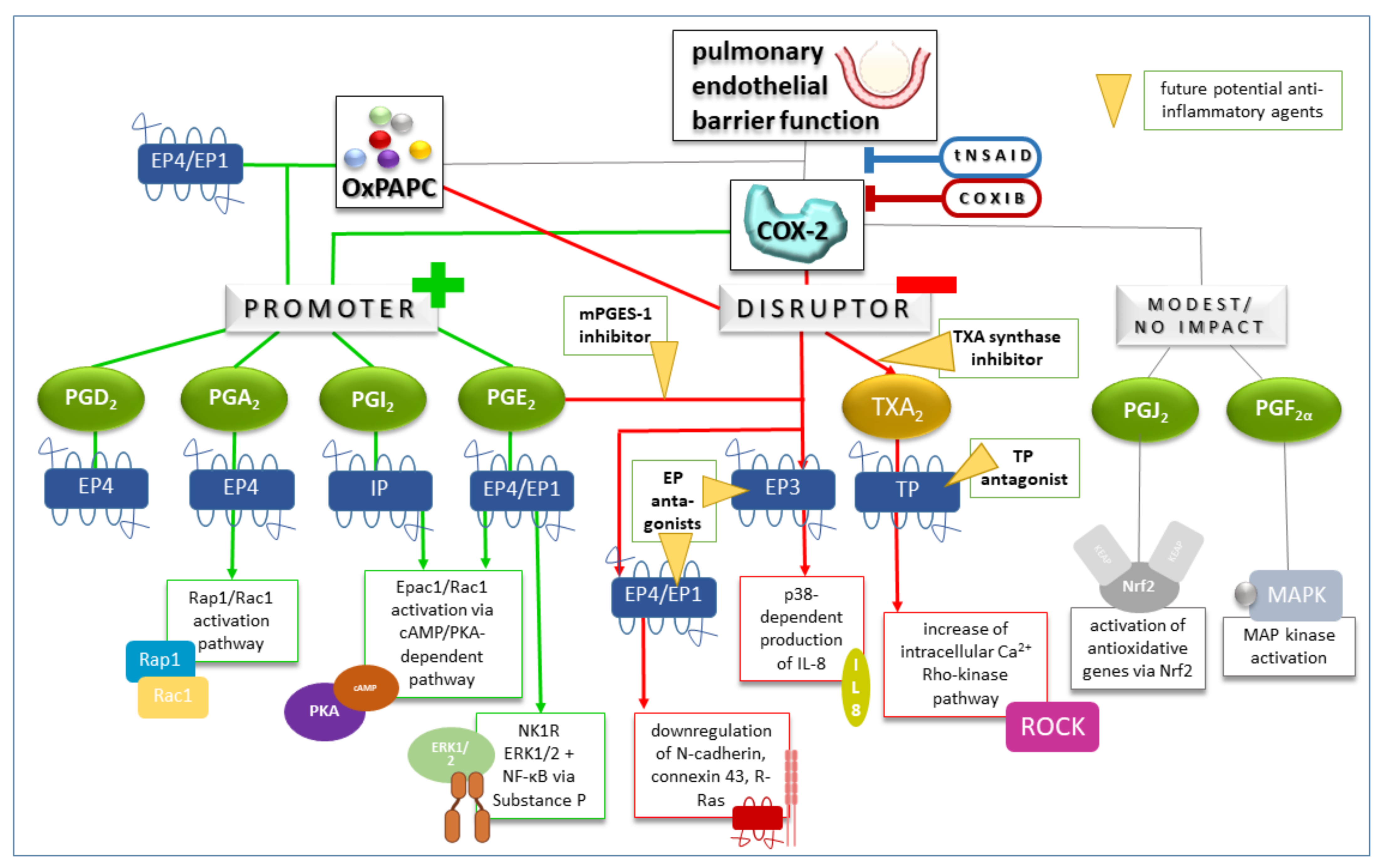 Bioengineering 10 00117 g002 Bioengineering 10 00117 g002