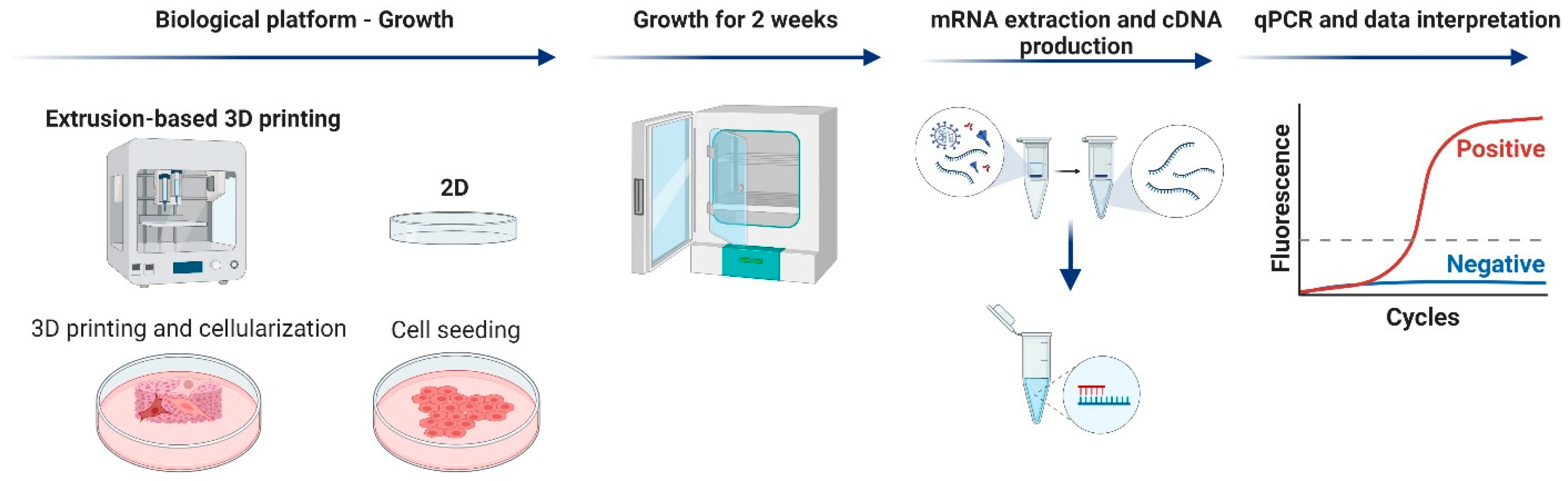 Bioengineering 10 00121 g001 Bioengineering 10 00121 g001