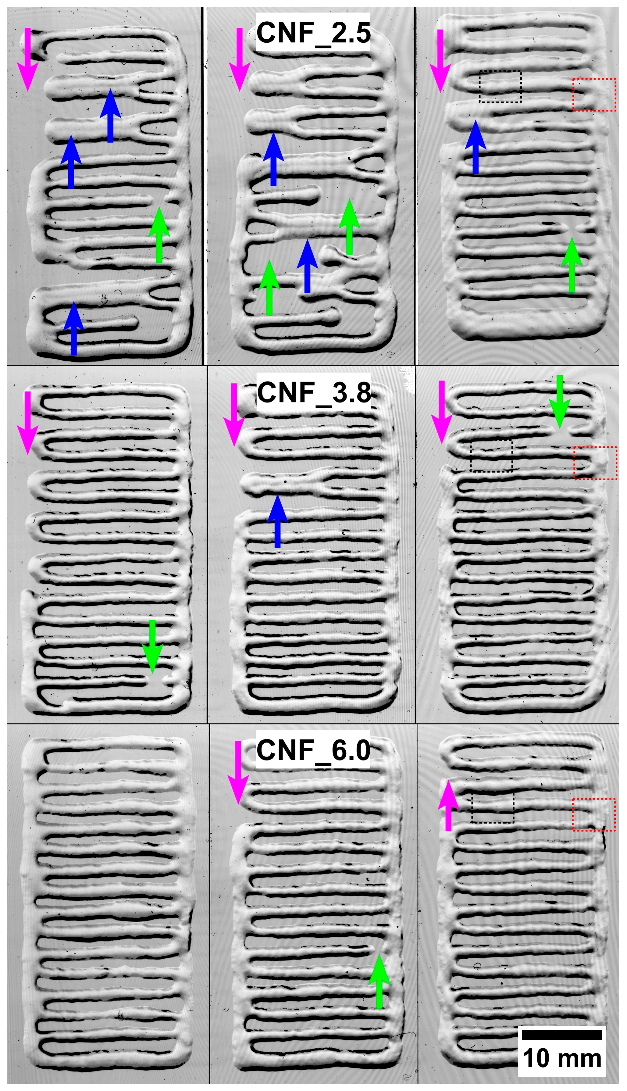 Bioengineering 10 00121 g004 Bioengineering 10 00121 g004