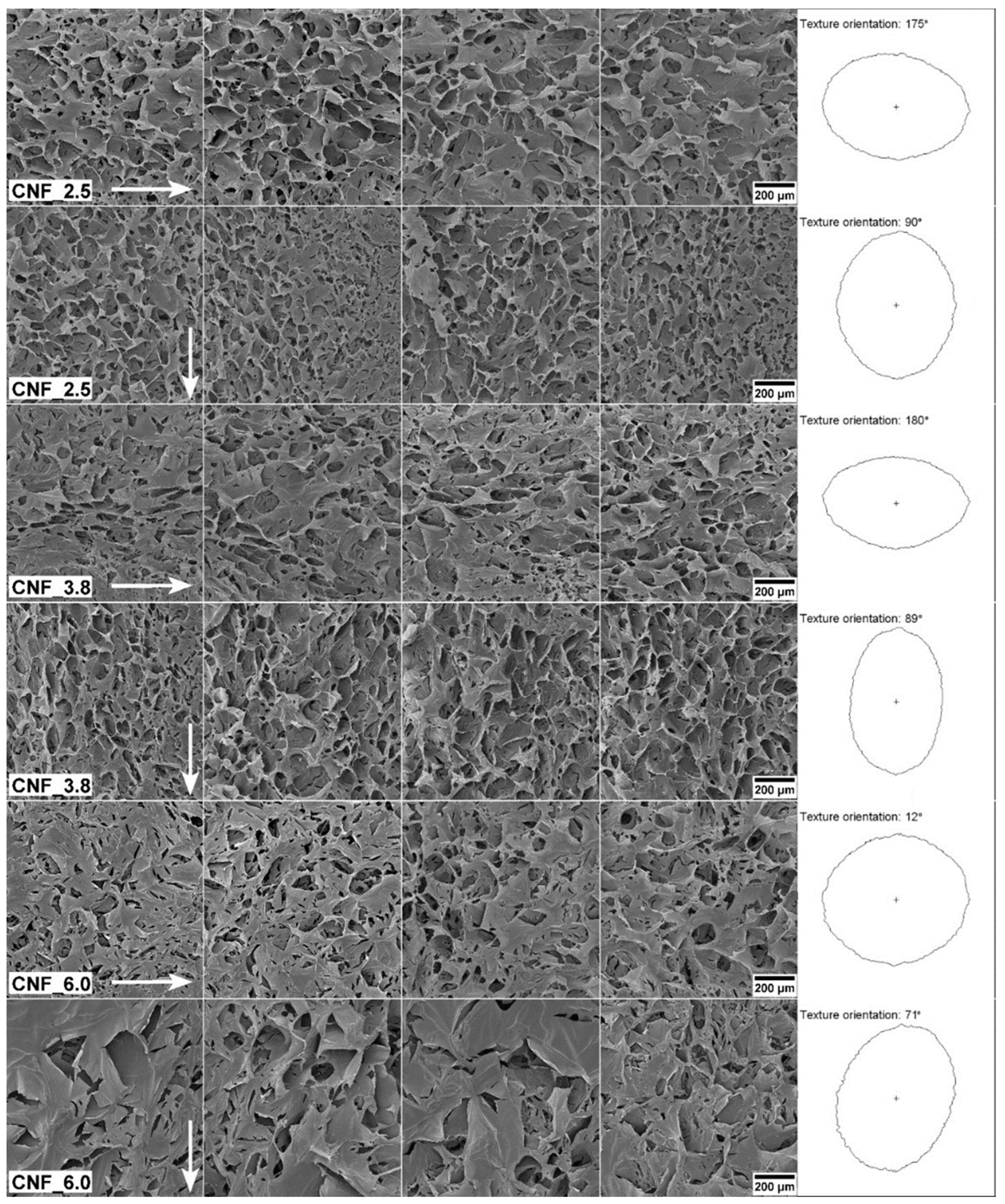Bioengineering 10 00121 g005 Bioengineering 10 00121 g005