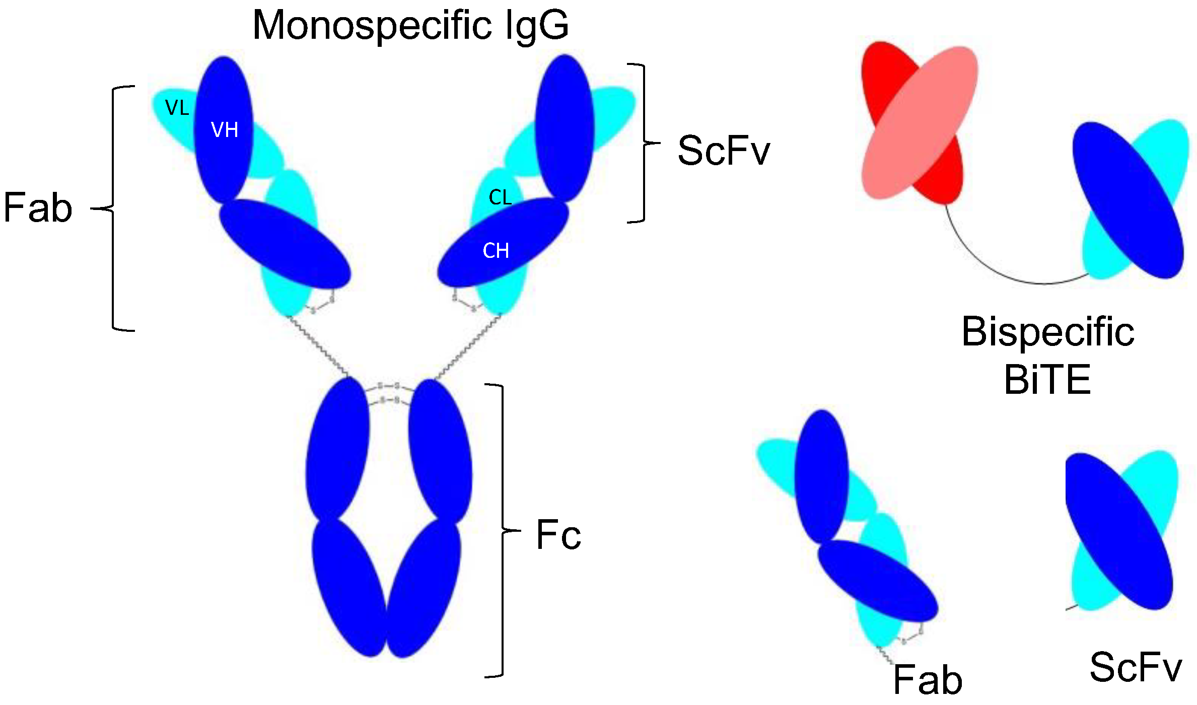 Bioengineering 10 00122 g001 Bioengineering 10 00122 g001