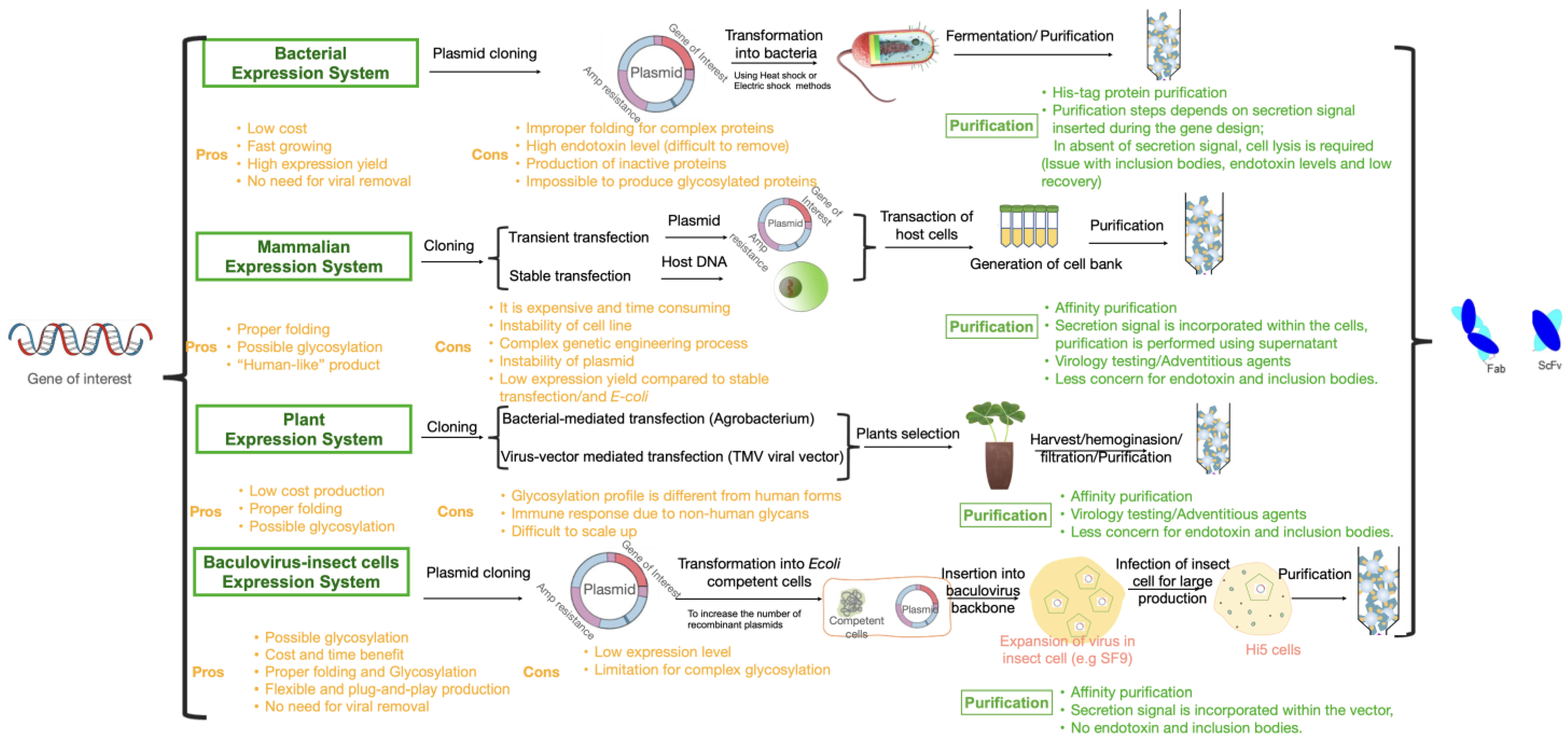 Bioengineering 10 00122 g002 Bioengineering 10 00122 g002