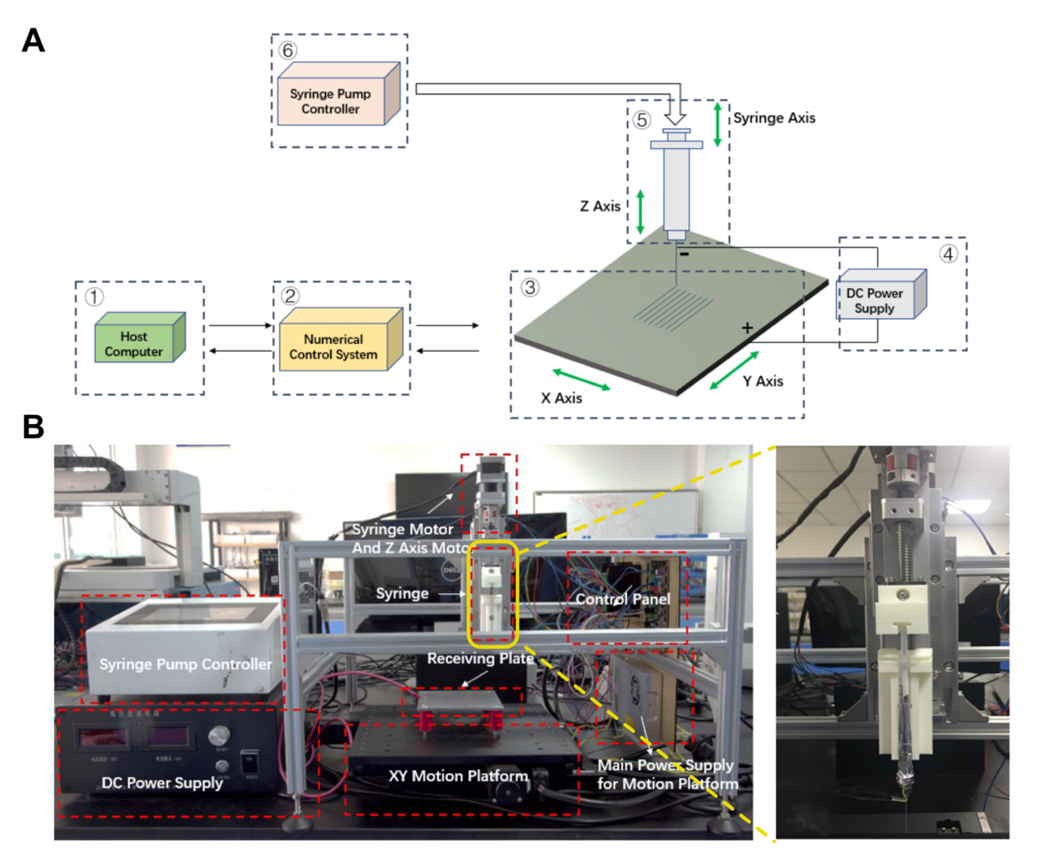 Bioengineering 10 00130 g001