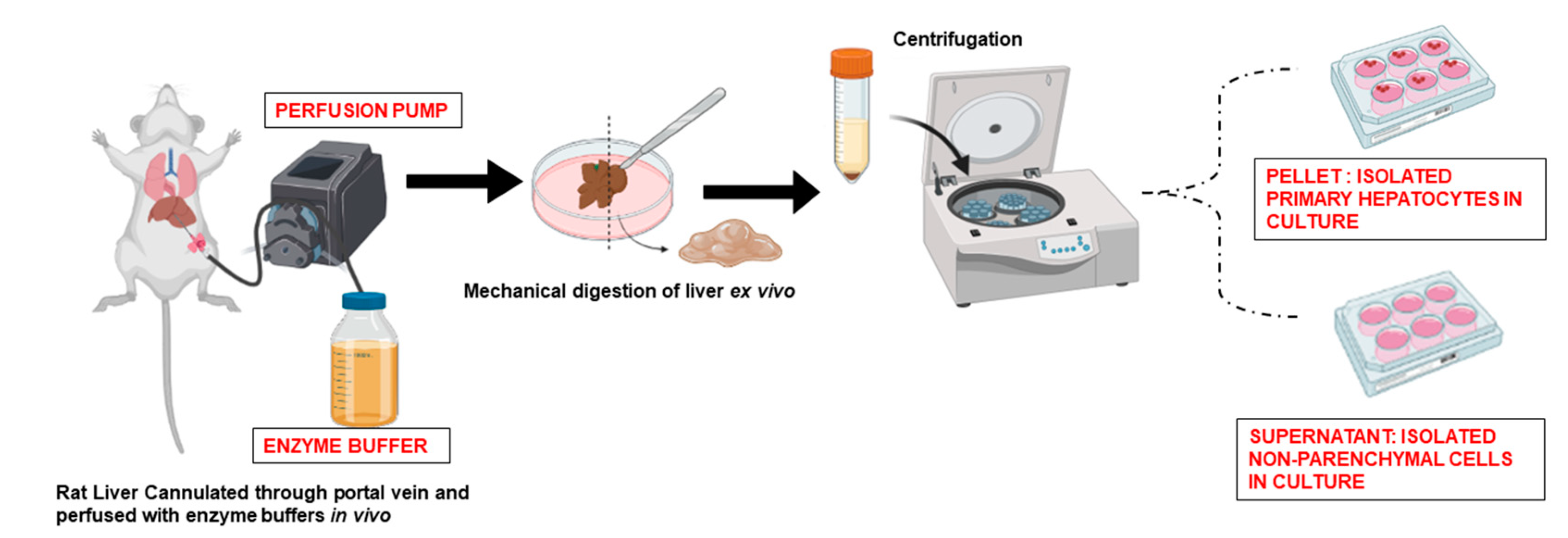 Bioengineering 10 00131 g001