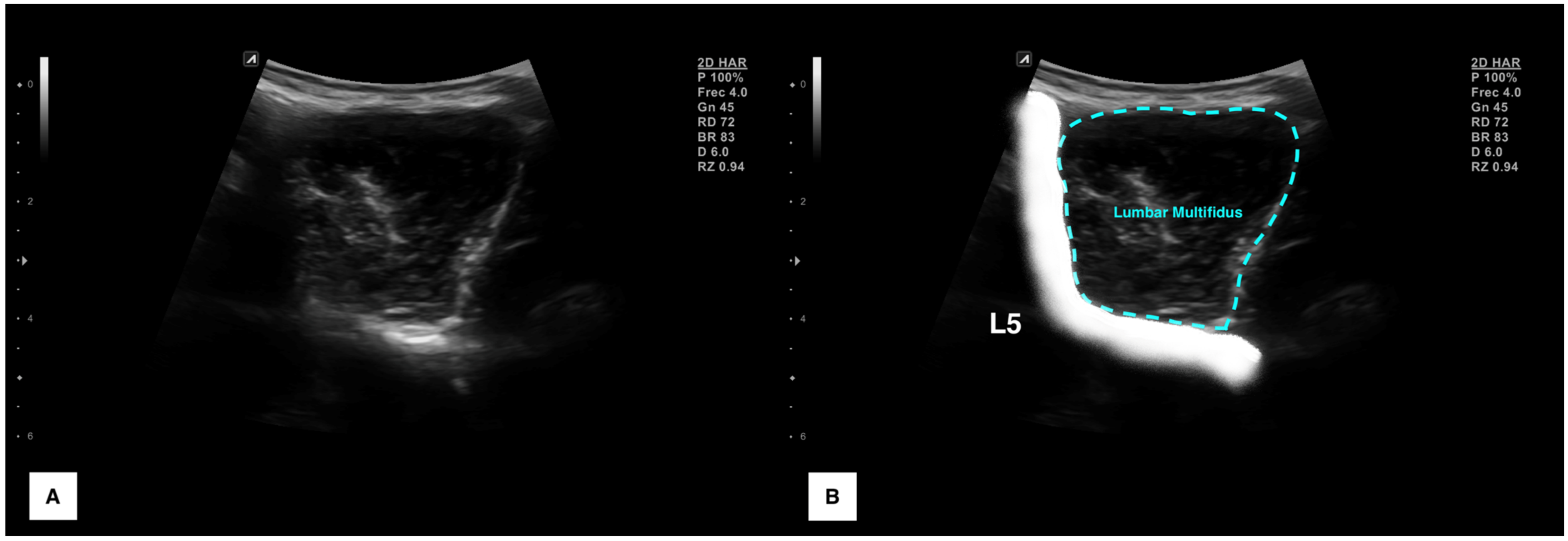 Bioengineering 10 00133 g002 Bioengineering 10 00133 g002