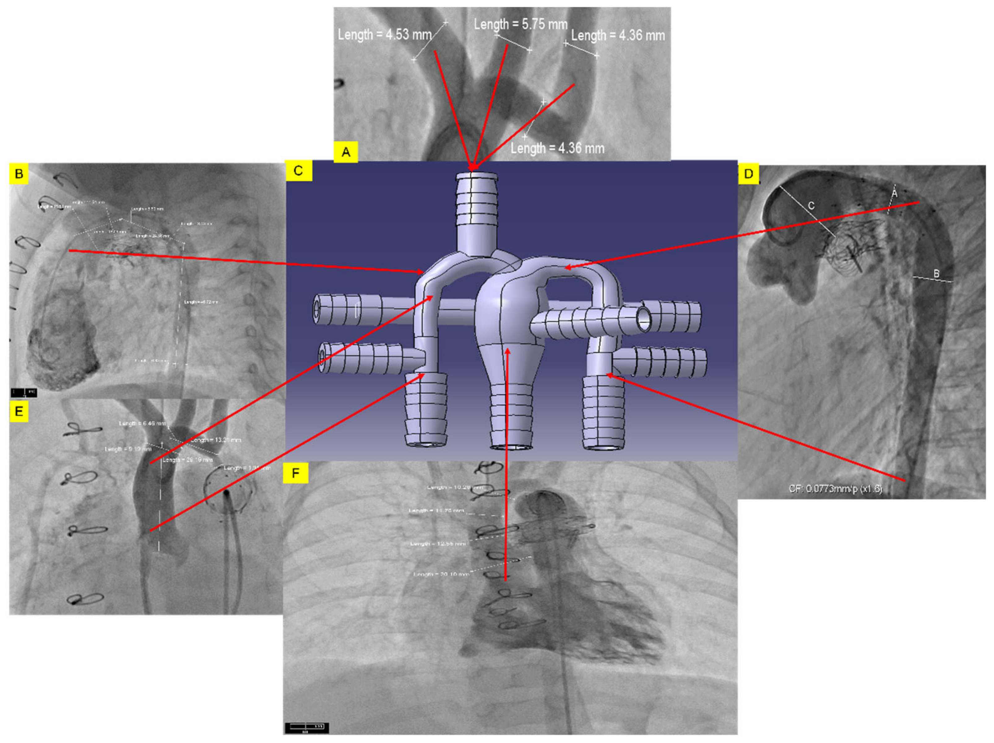 Bioengineering 10 00135 g005