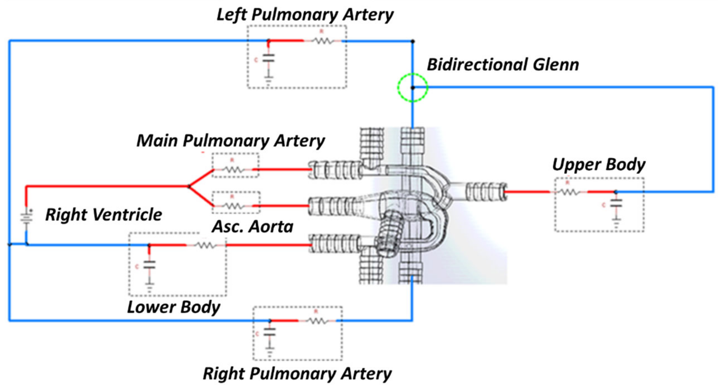 Bioengineering 10 00135 g009