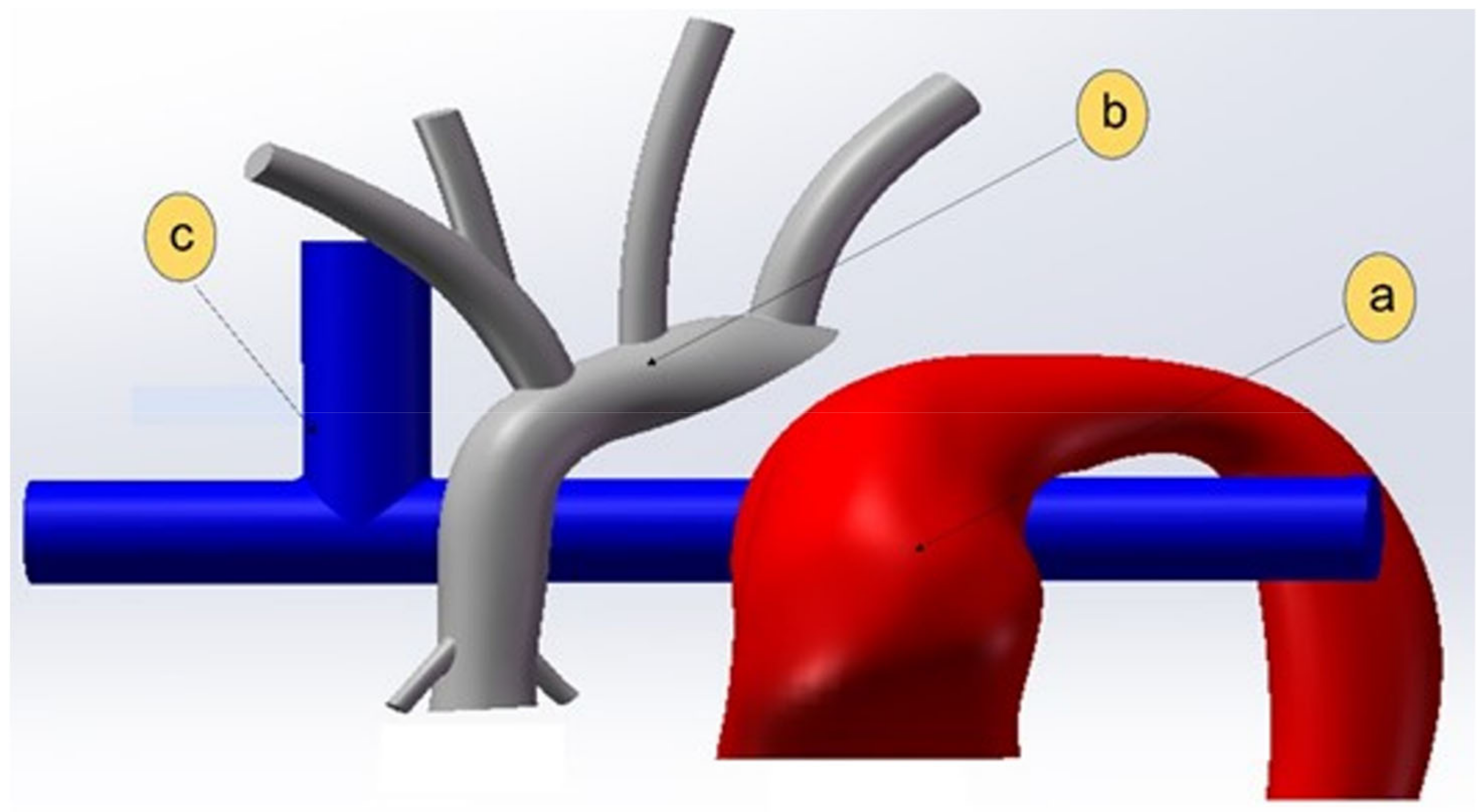 Bioengineering 10 00135 g011