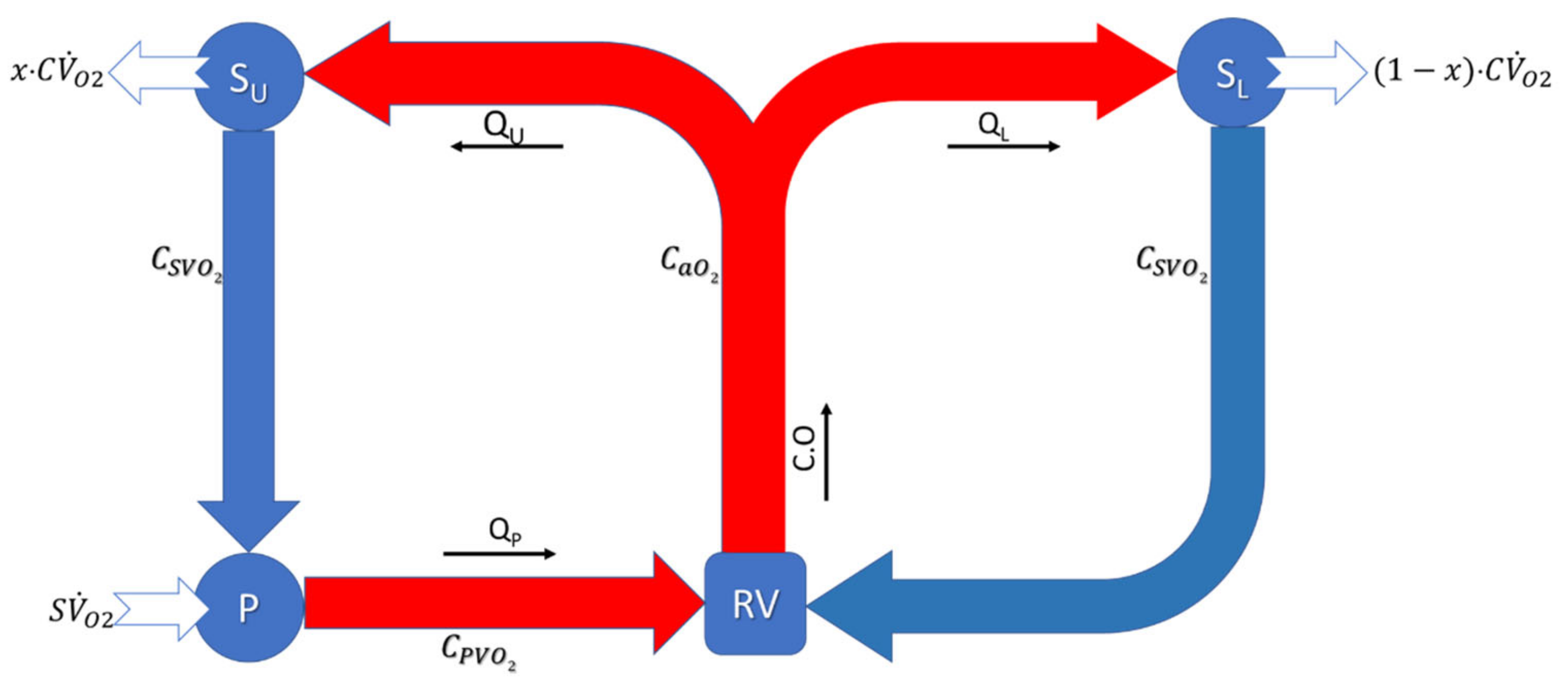 Bioengineering 10 00135 g012