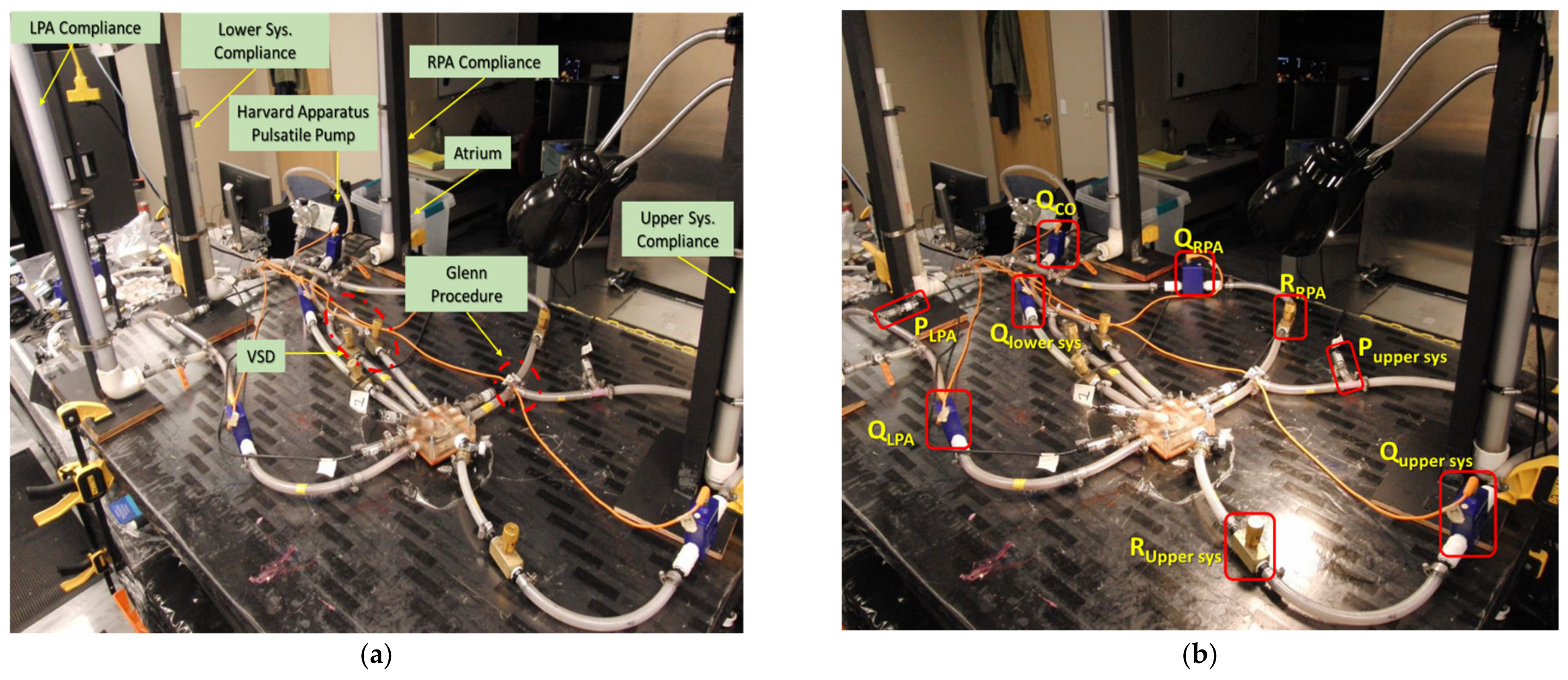 Bioengineering 10 00135 g014