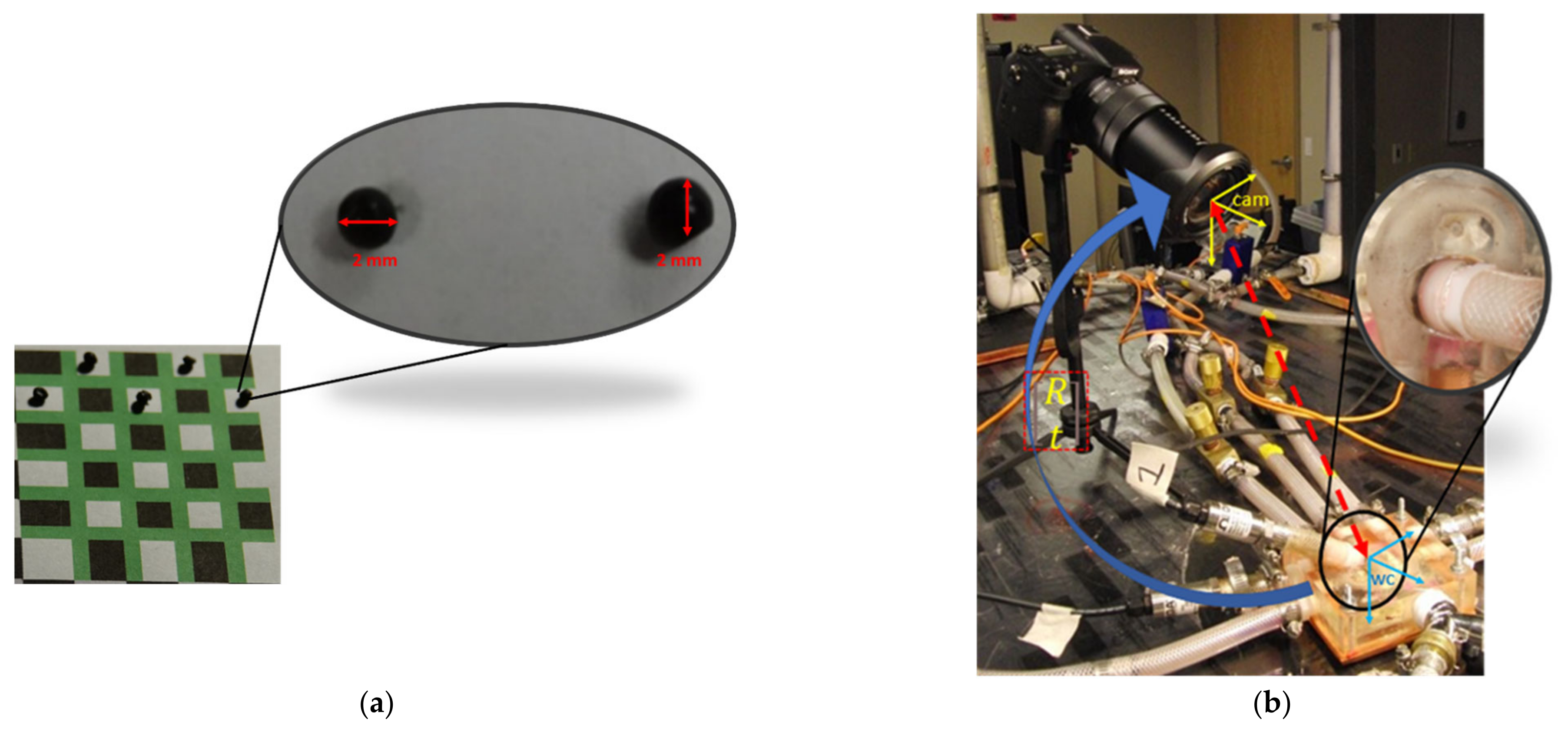 Bioengineering 10 00135 g018