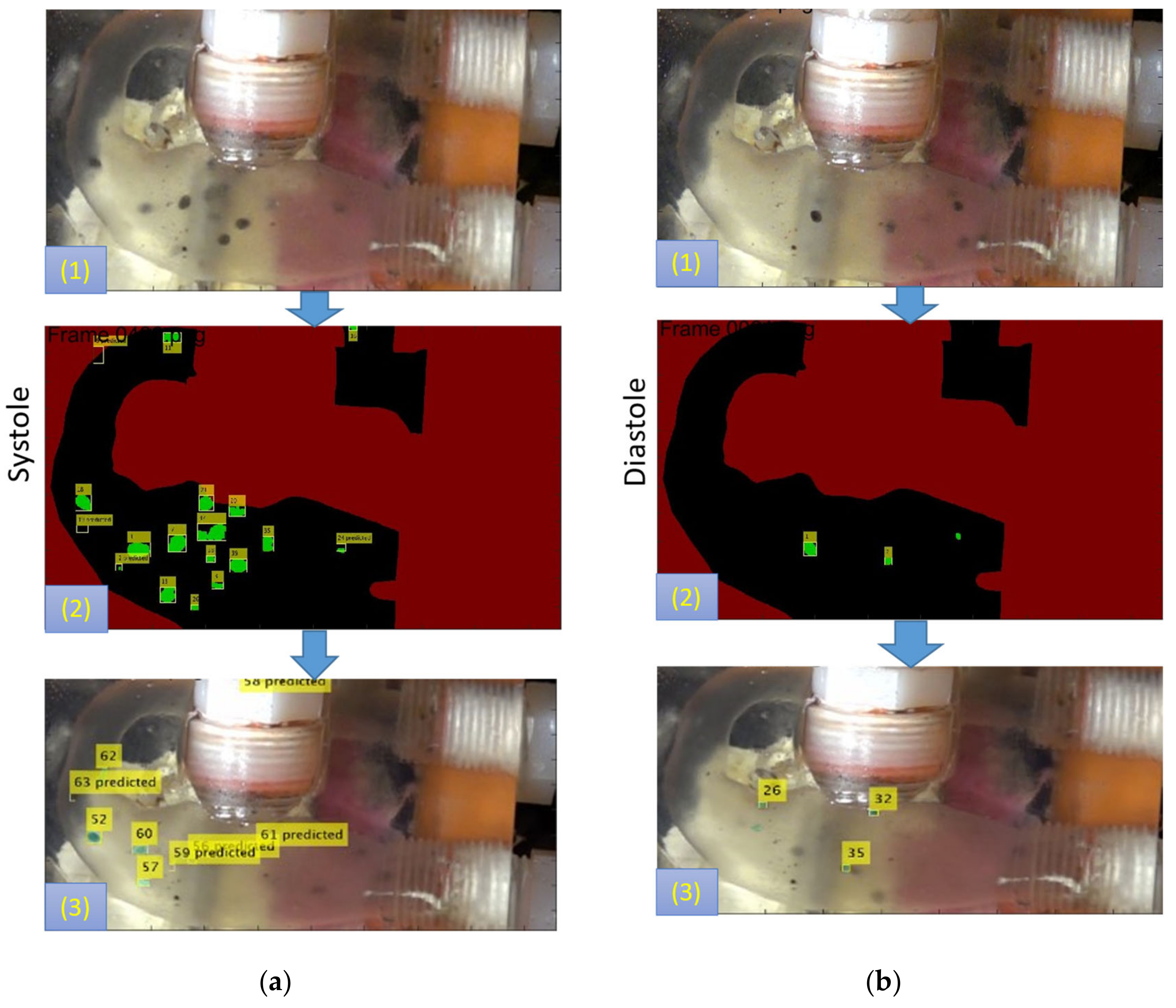 Bioengineering 10 00135 g019