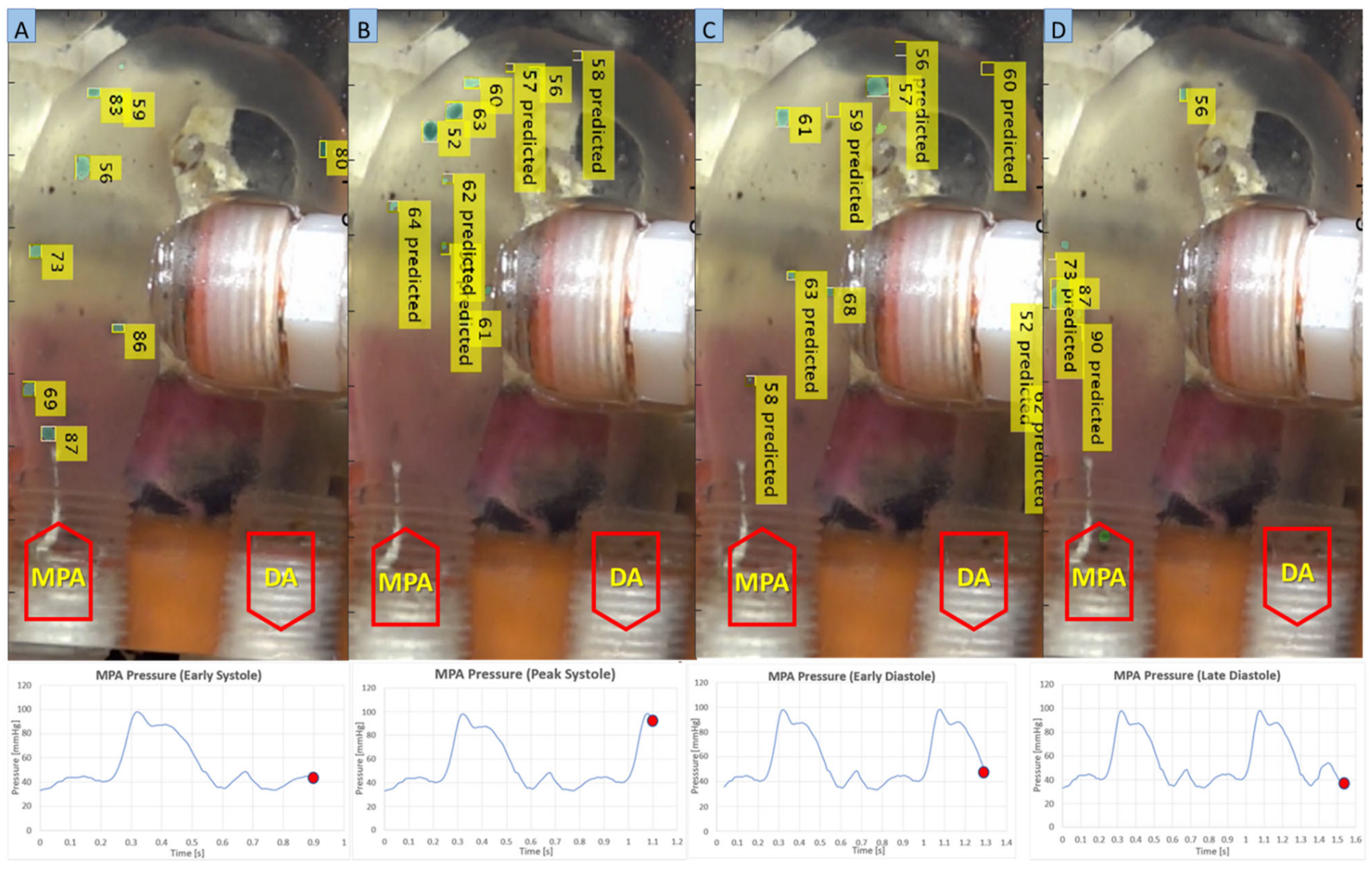 Bioengineering 10 00135 g024