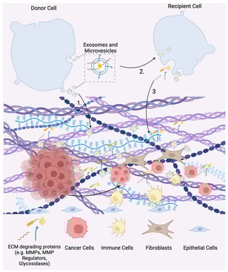 Bioengineering 10 00136 g003