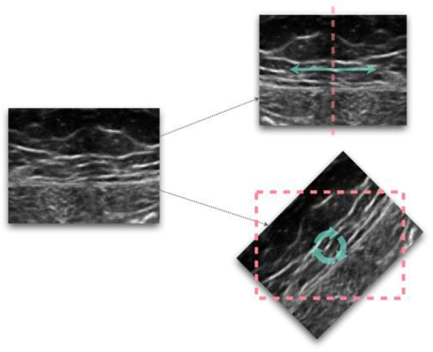 Bioengineering 10 00137 g001