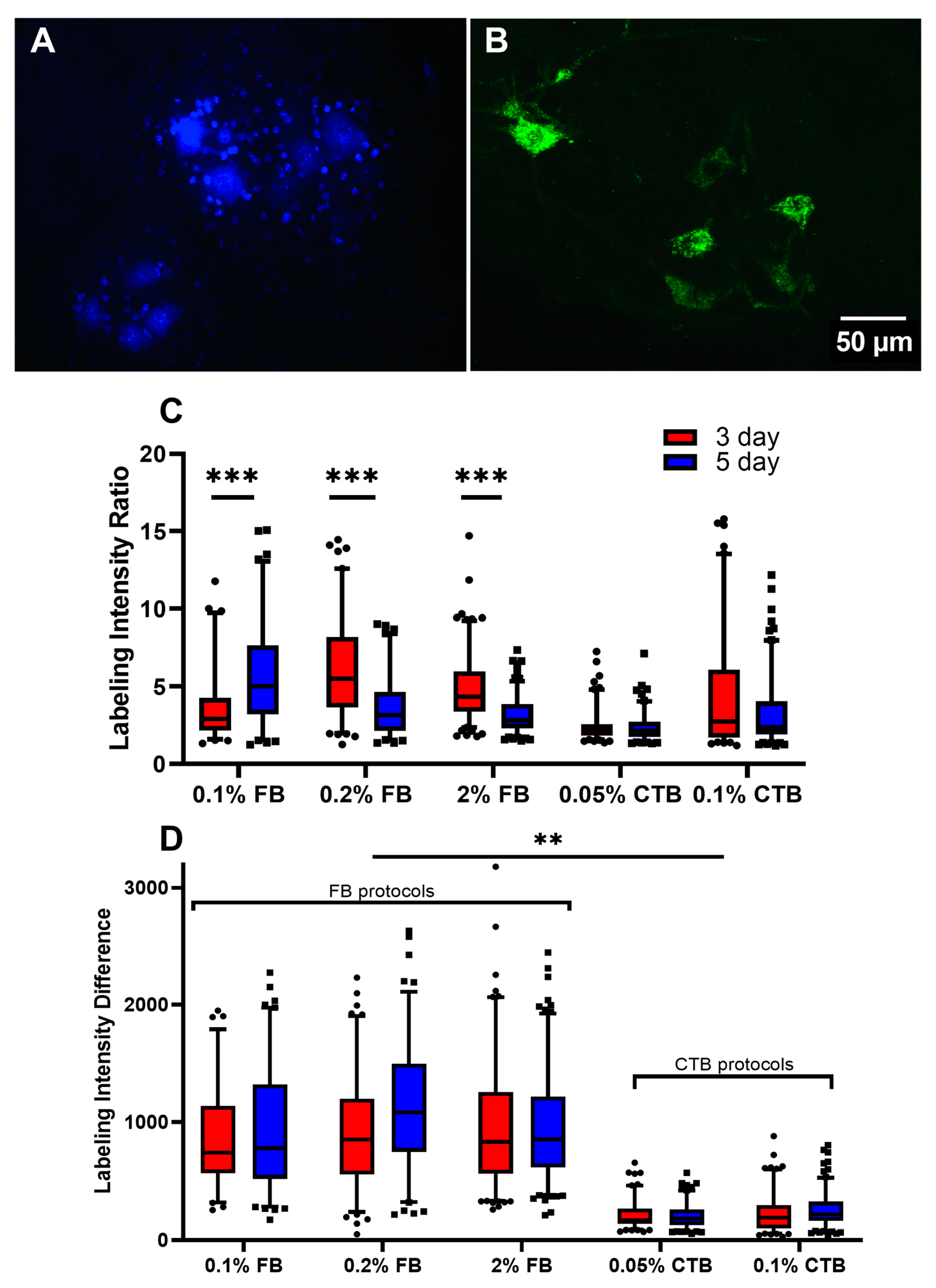Bioengineering 10 00141 g001