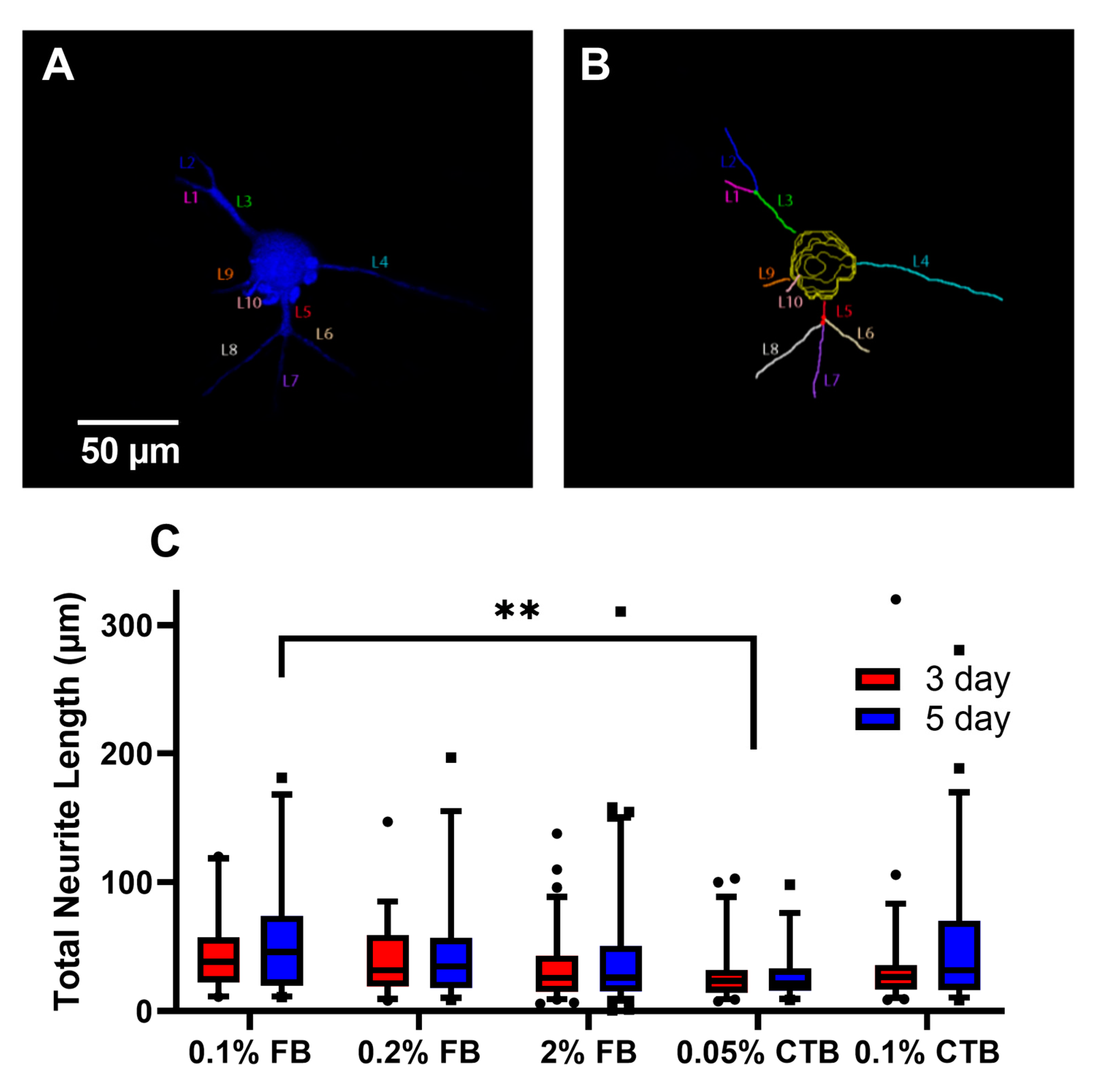 Bioengineering 10 00141 g004