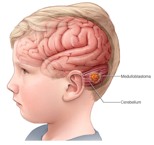 Bioengineering 10 00147 g007