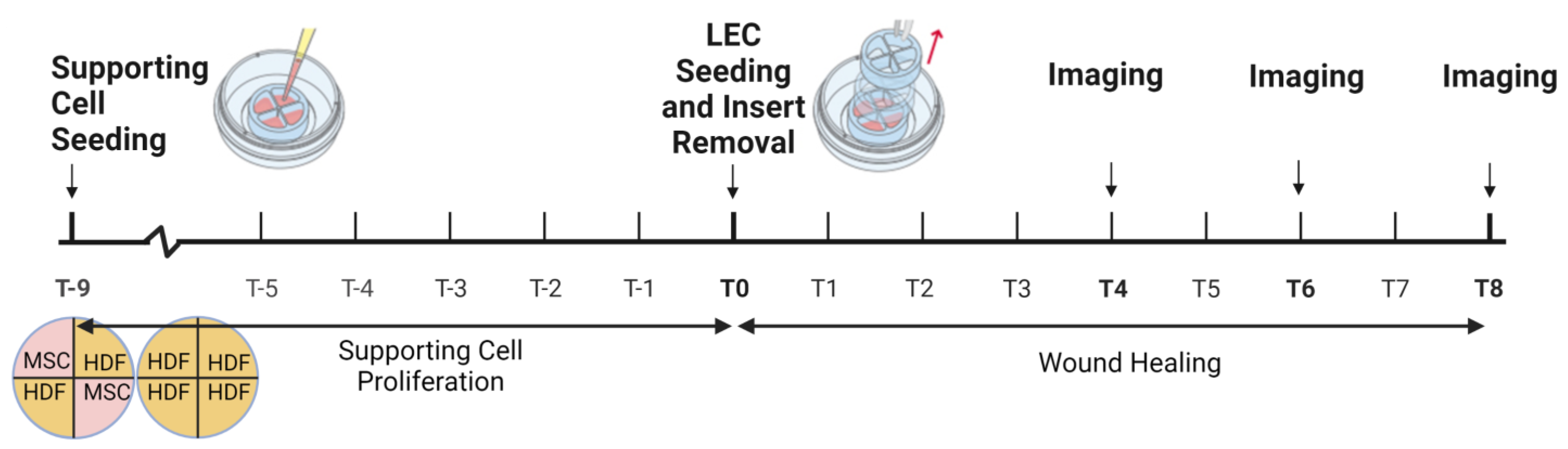 Bioengineering 10 00149 g001 Bioengineering 10 00149 g001