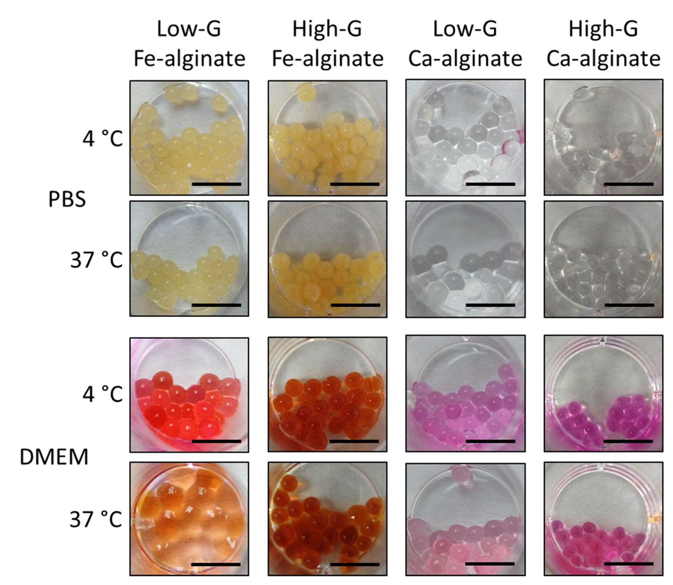 Bioengineering 10 00163 g003