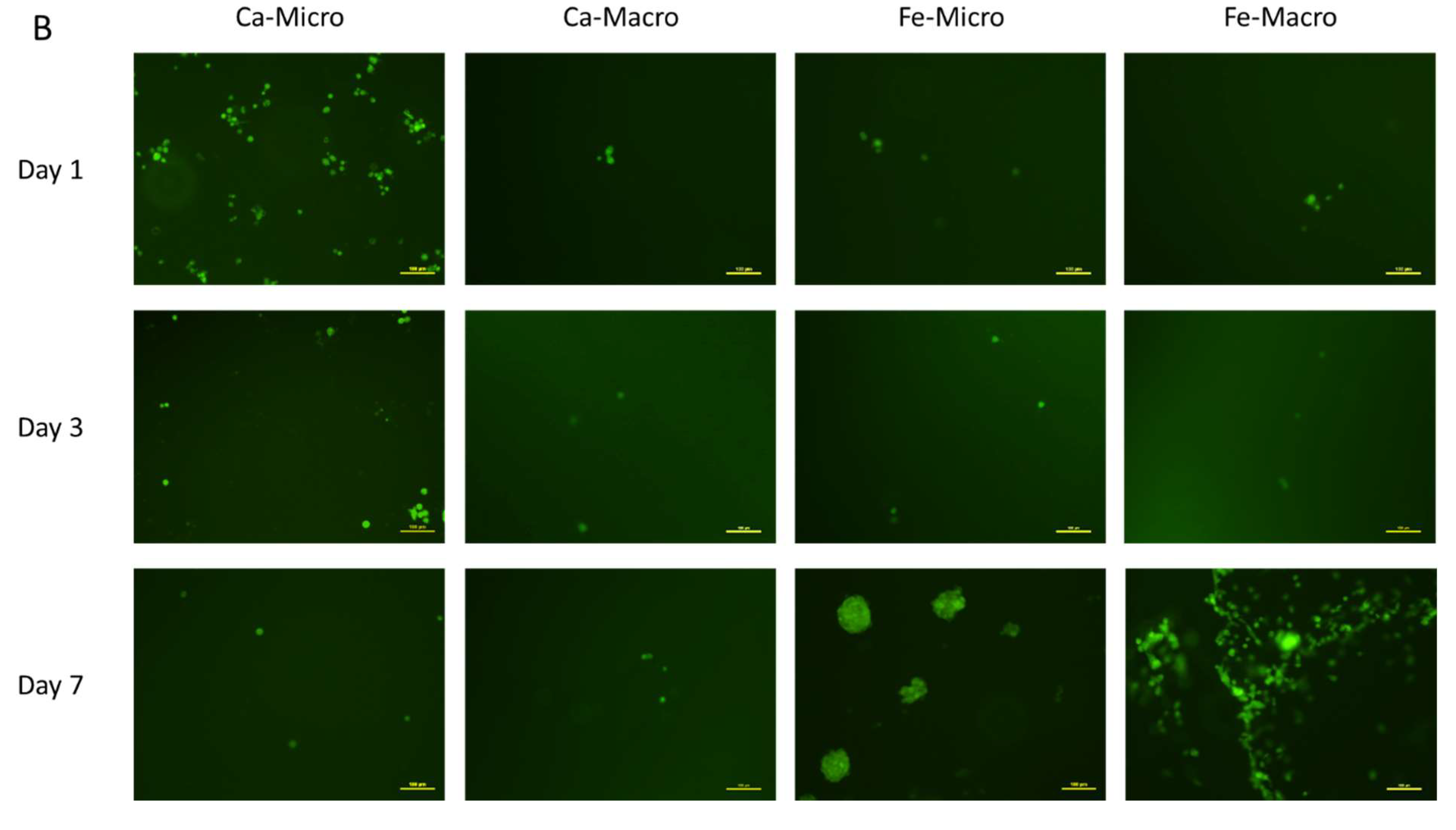 Bioengineering 10 00163 g008b