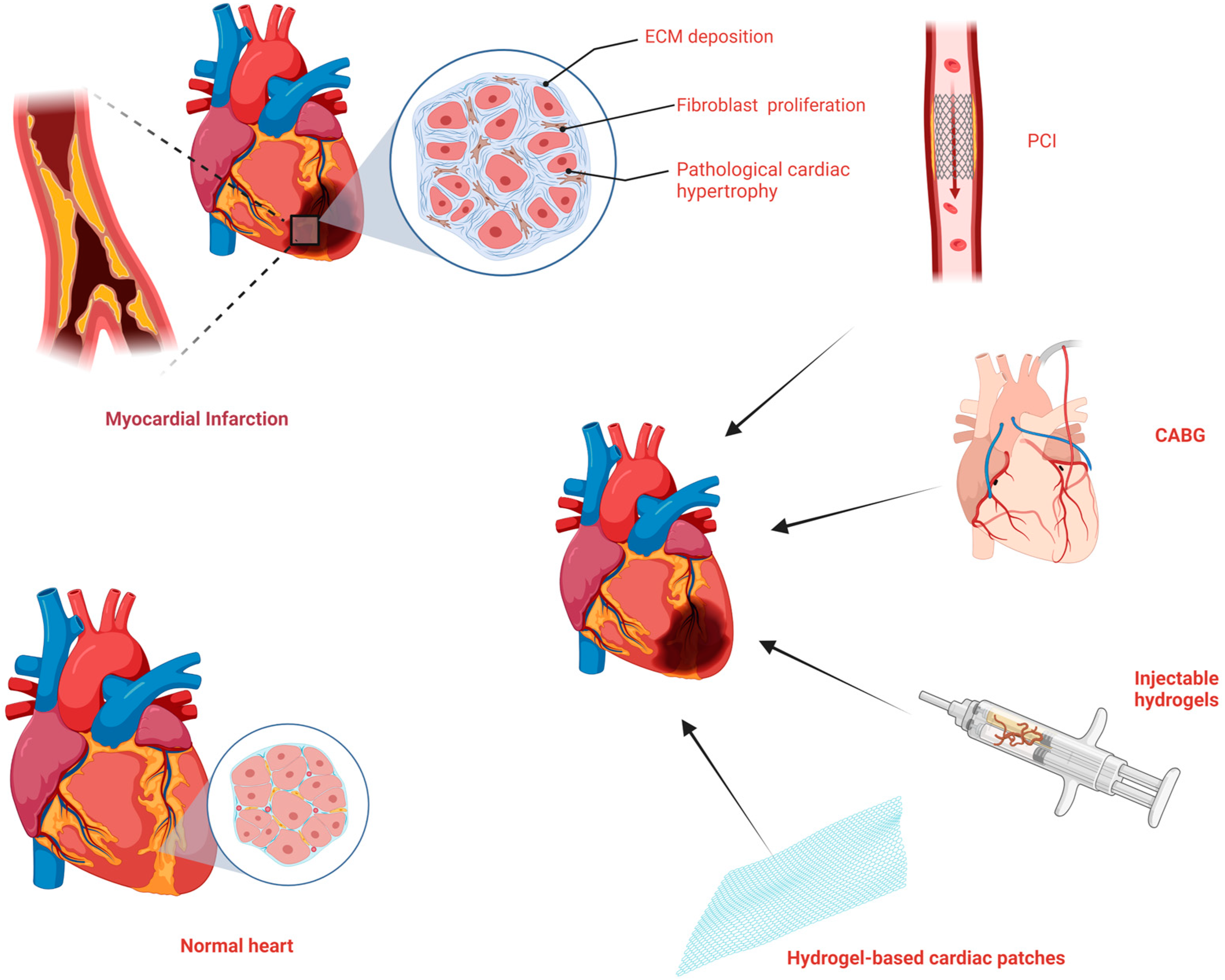 Bioengineering 10 00165 g001