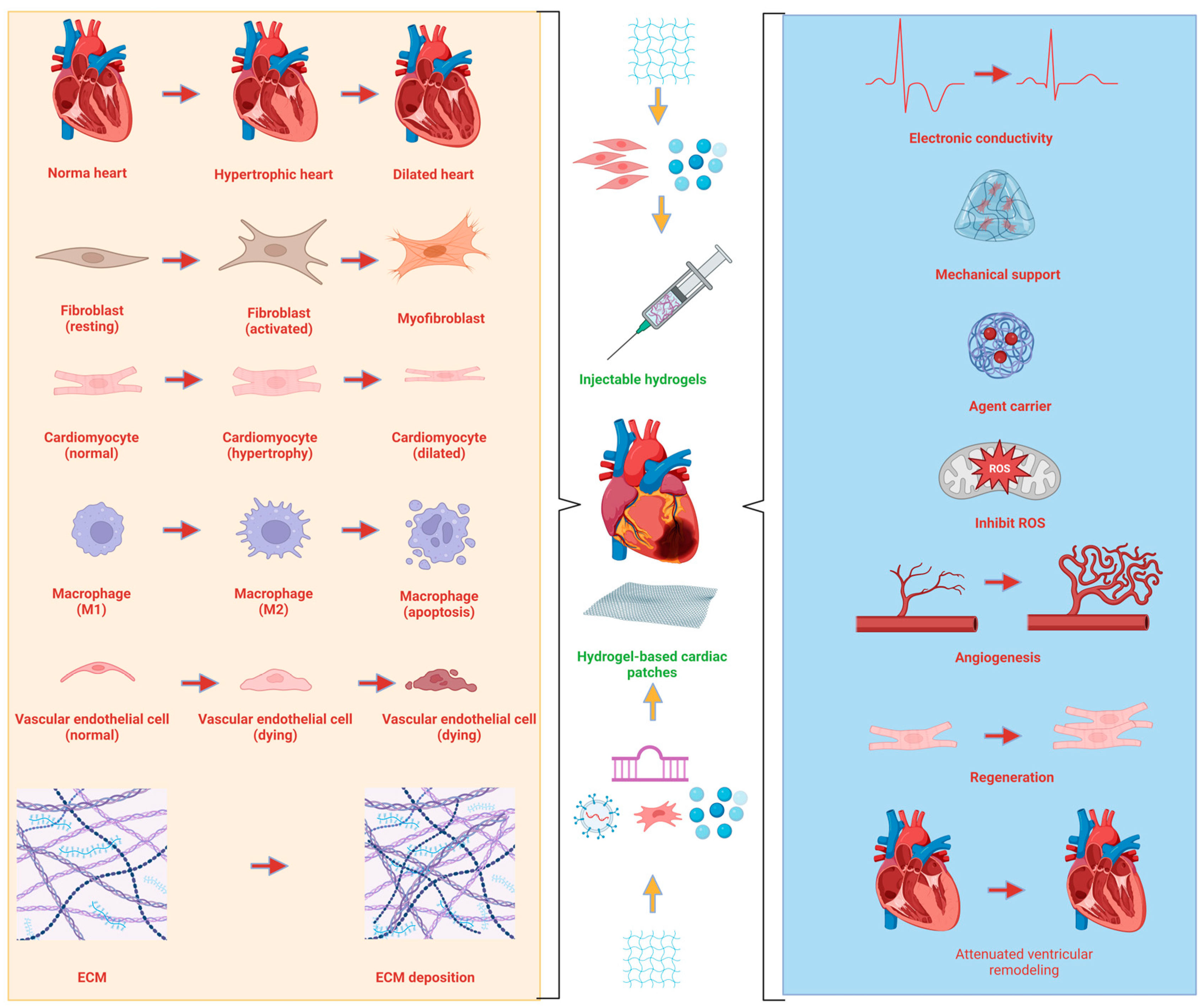 Bioengineering 10 00165 g003
