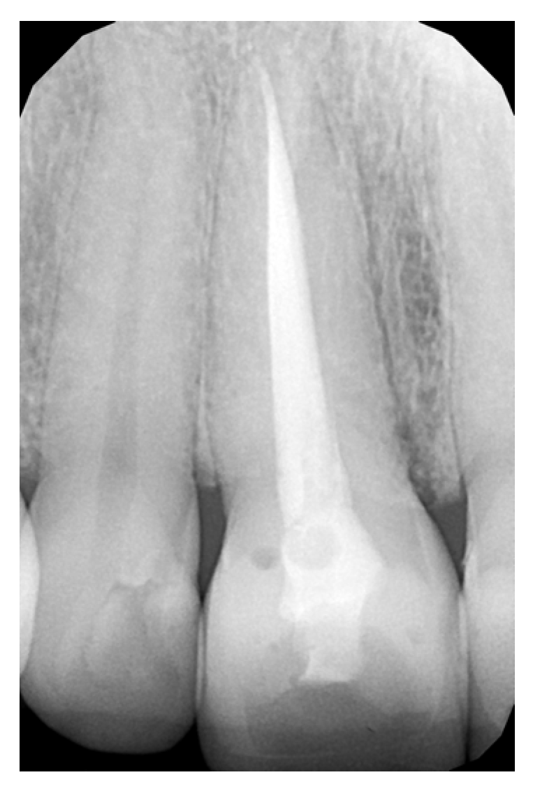 Bioengineering 10 00168 g001