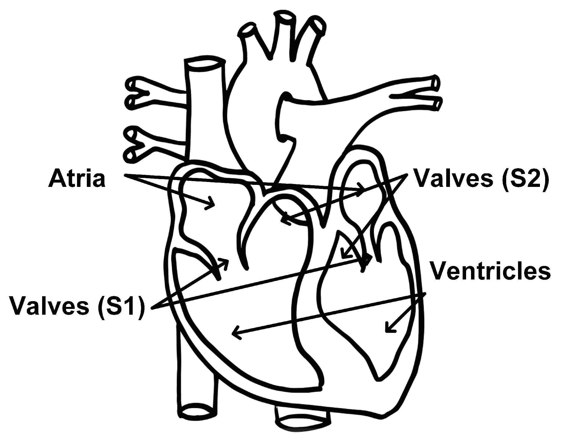 Bioengineering 10 00169 g002 Bioengineering 10 00169 g002
