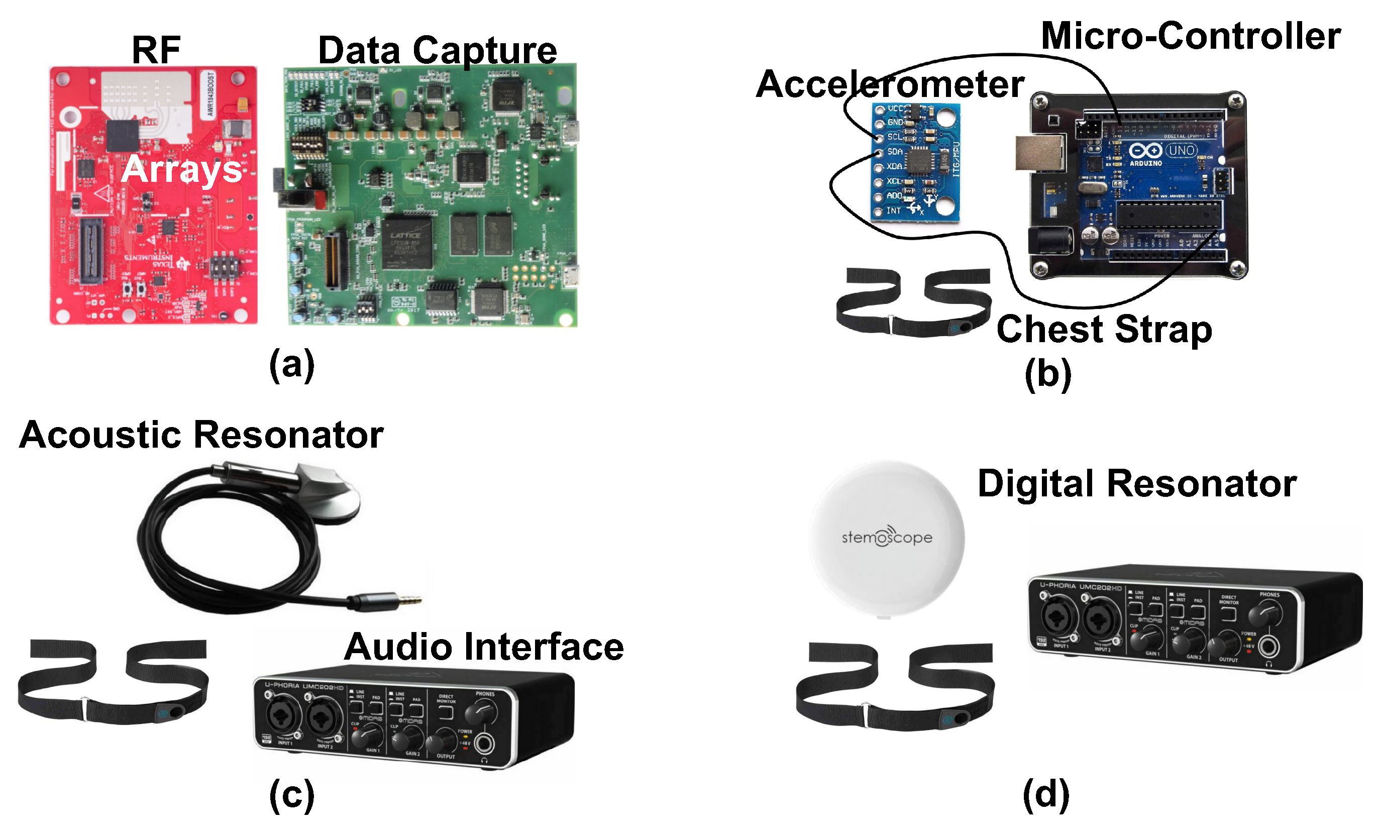 Bioengineering 10 00169 g004 Bioengineering 10 00169 g004