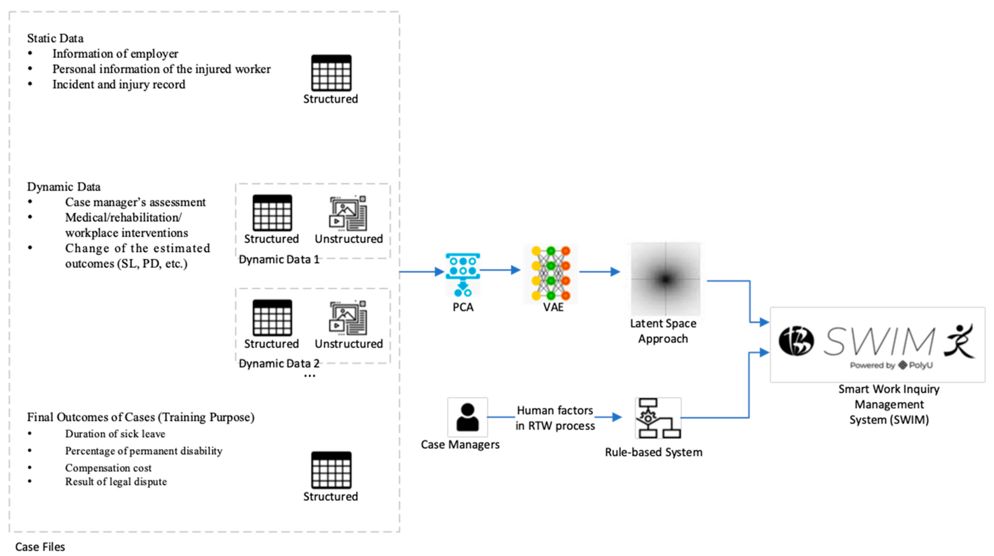 Bioengineering 10 00172 g001