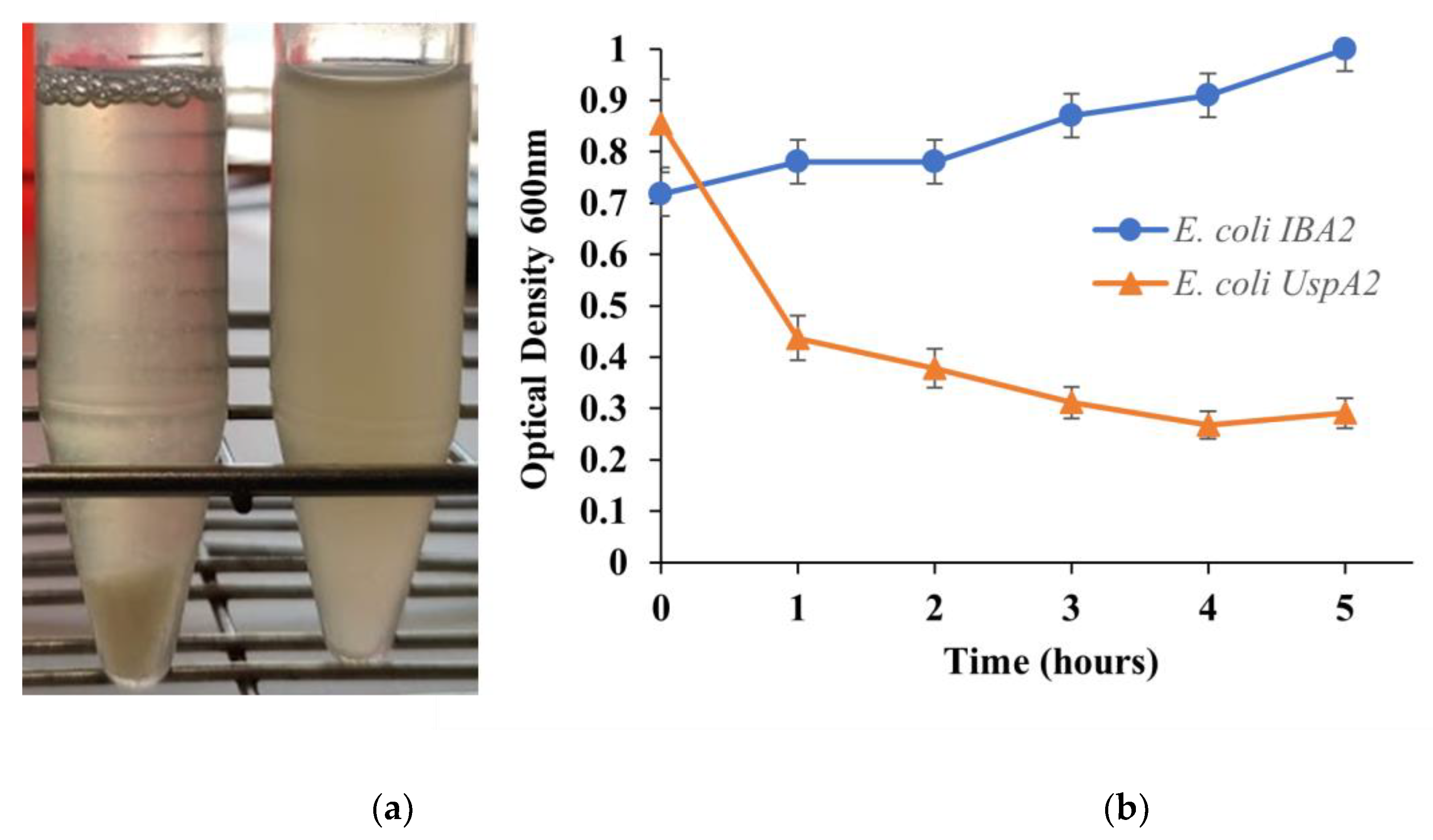 Bioengineering 10 00178 g001