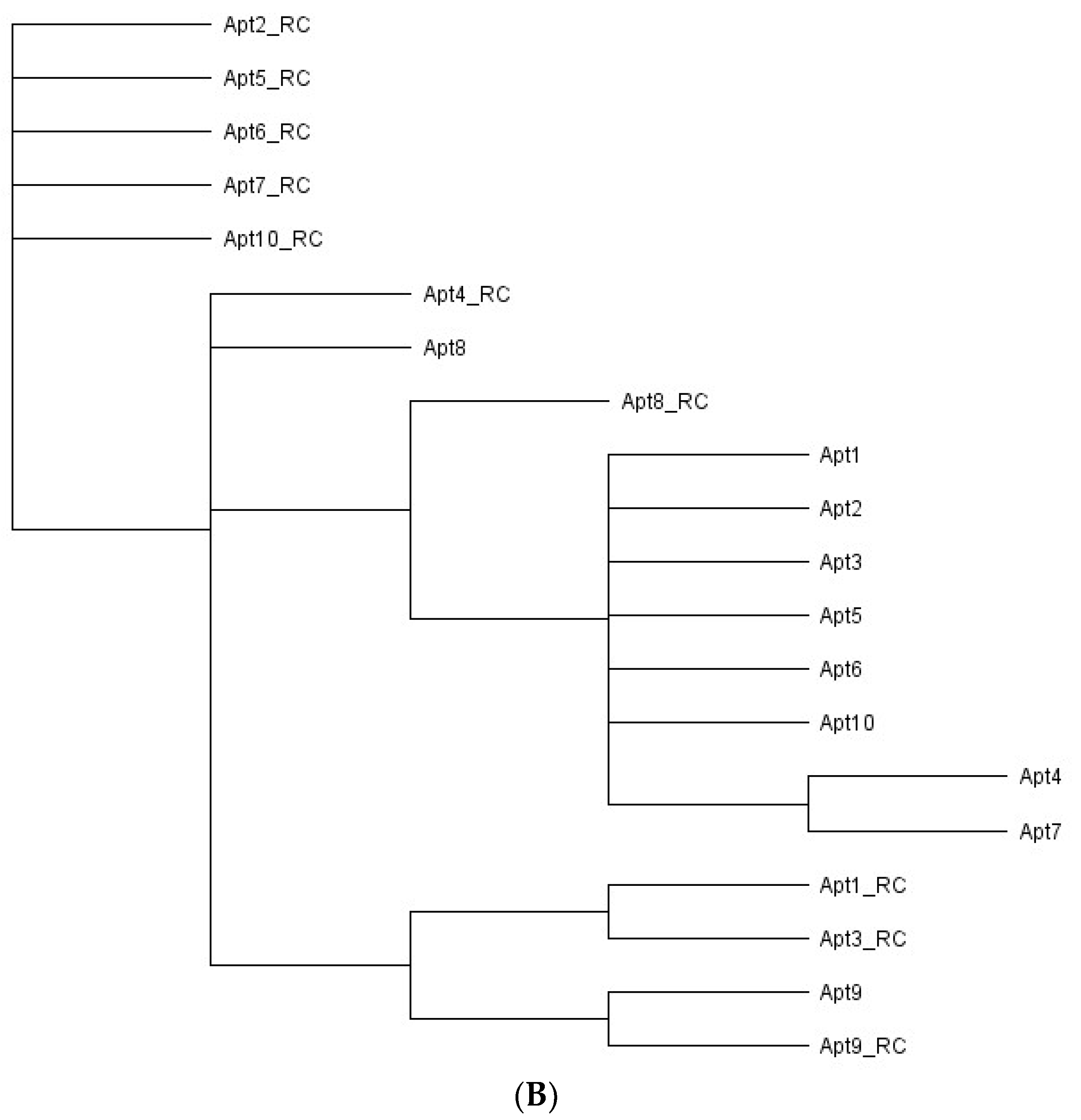 Bioengineering 10 00178 g002b