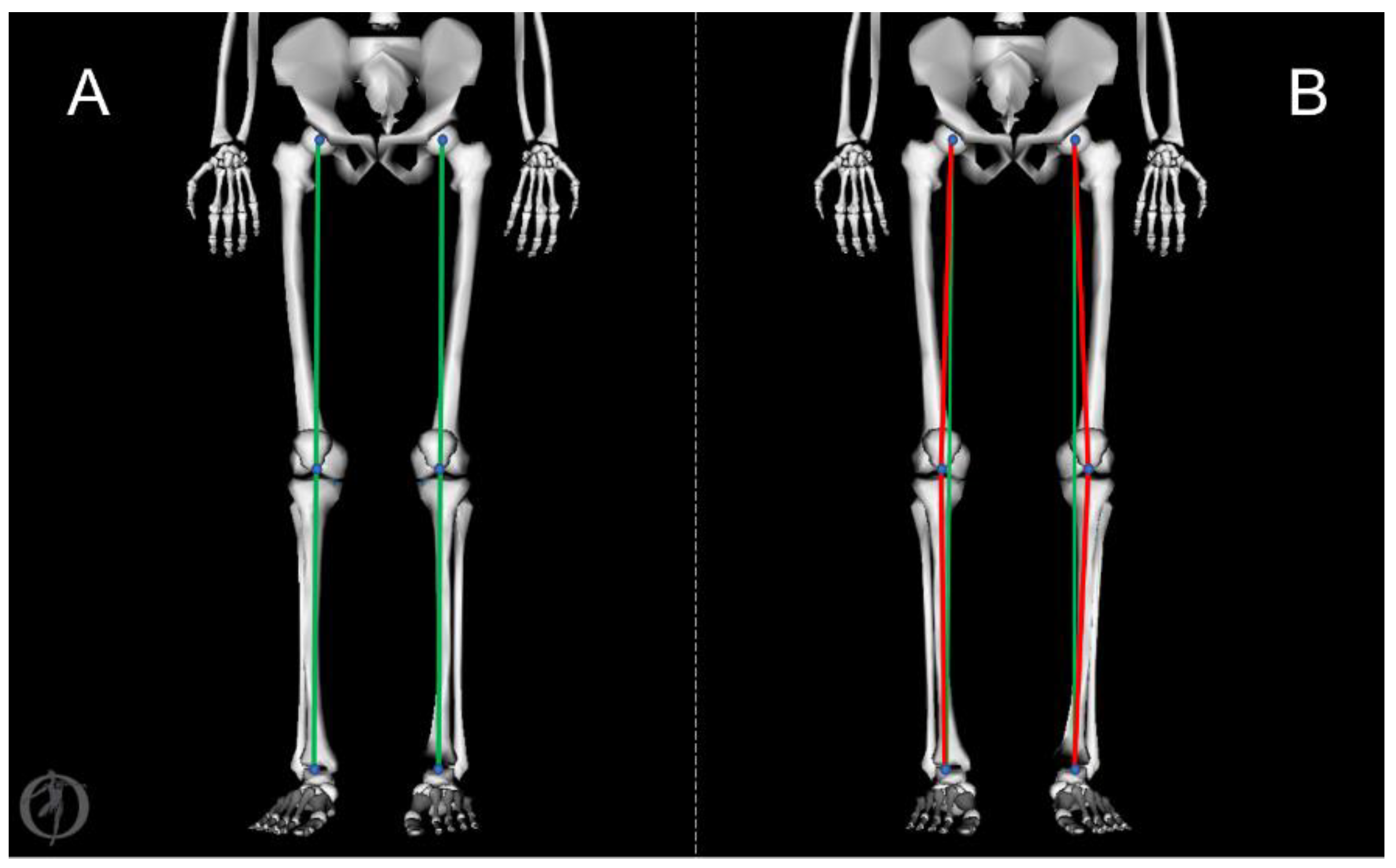 Bioengineering 10 00179 g001 Bioengineering 10 00179 g001