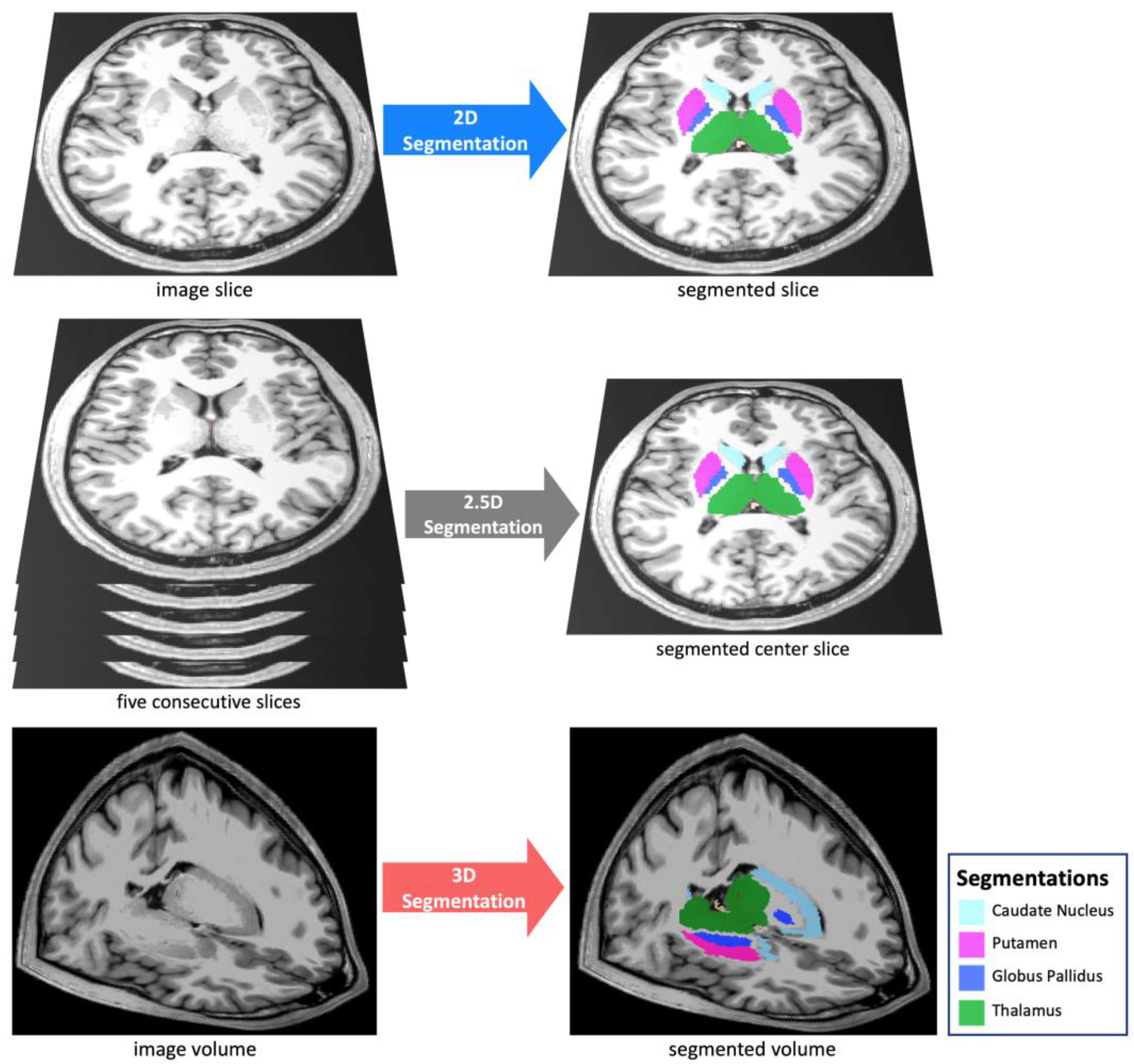 Bioengineering 10 00181 g001