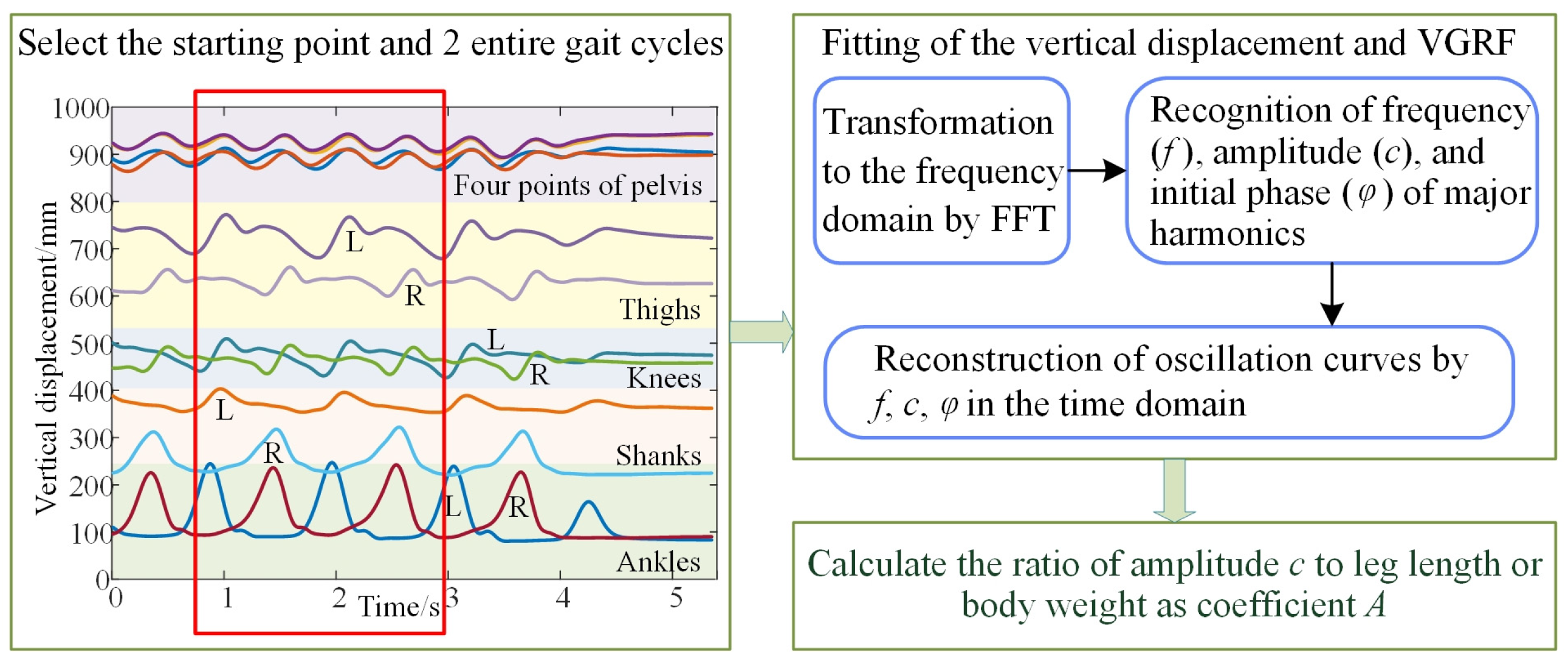 Bioengineering 10 00187 g004