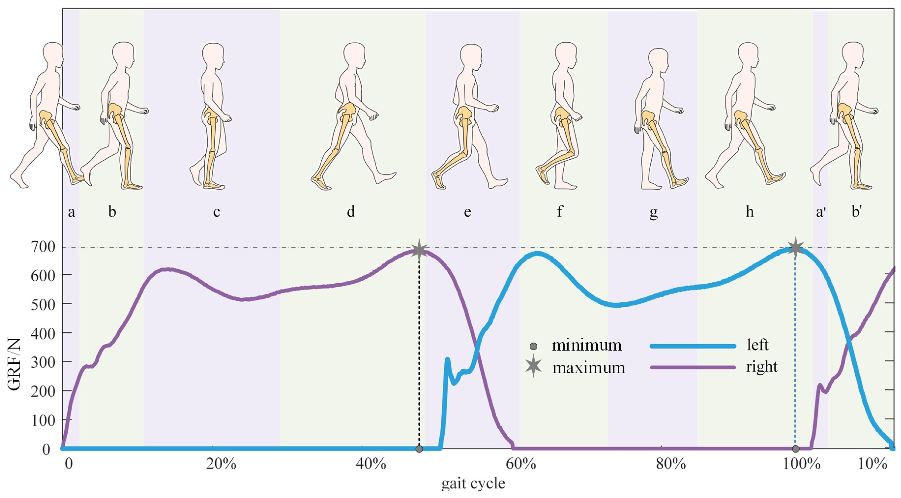 Bioengineering 10 00187 g006