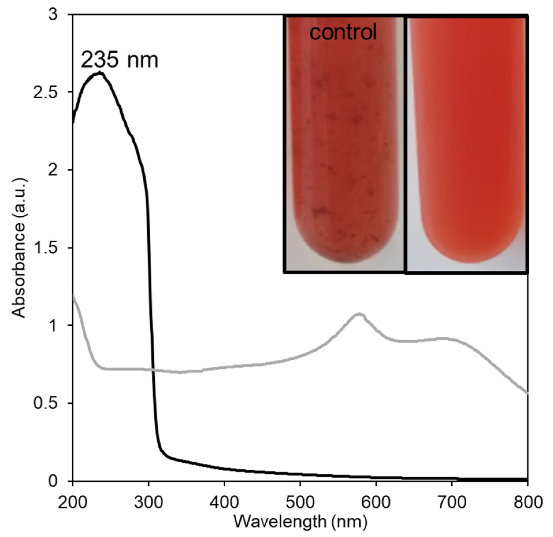Bioengineering 10 00193 g001
